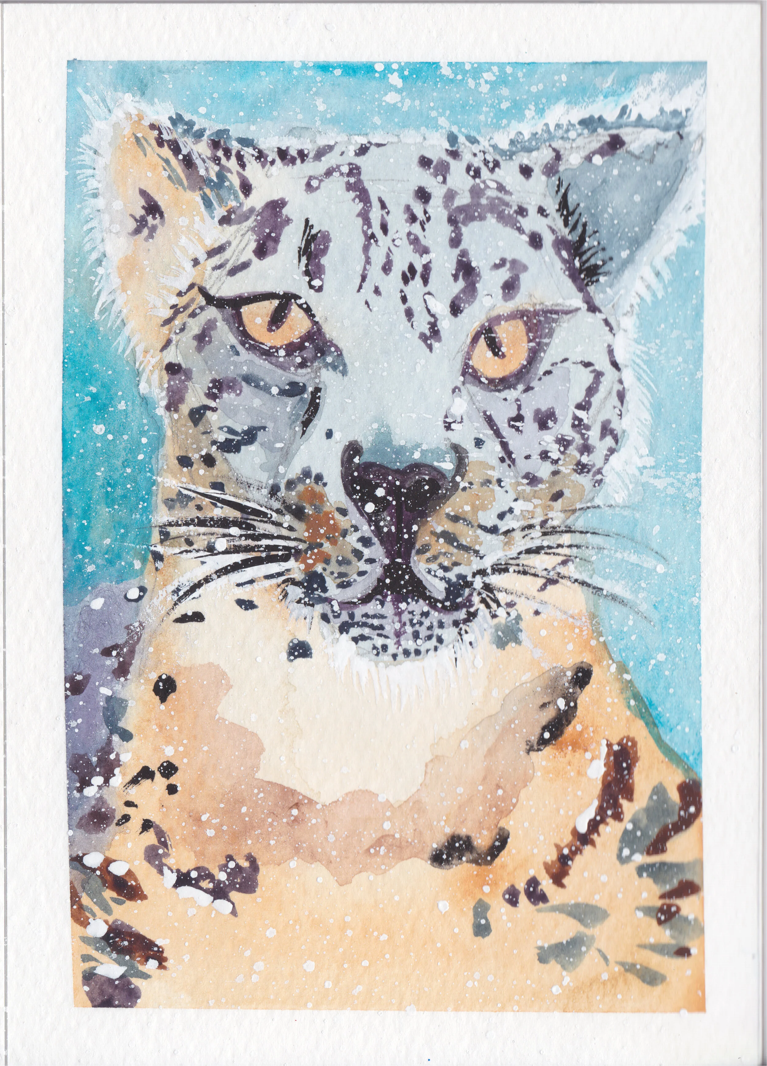 lepard in snow.jpg