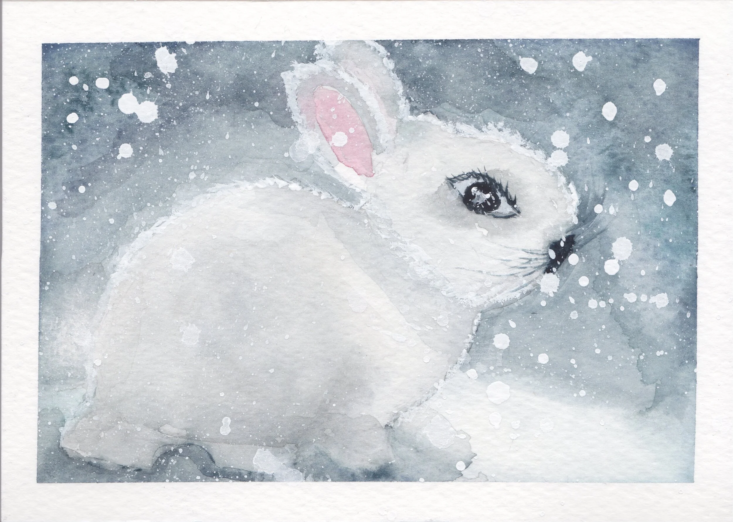 snow bunny 2.jpg