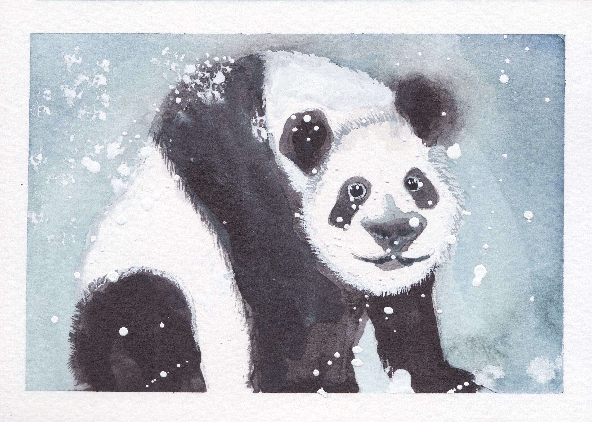 panda.jpg