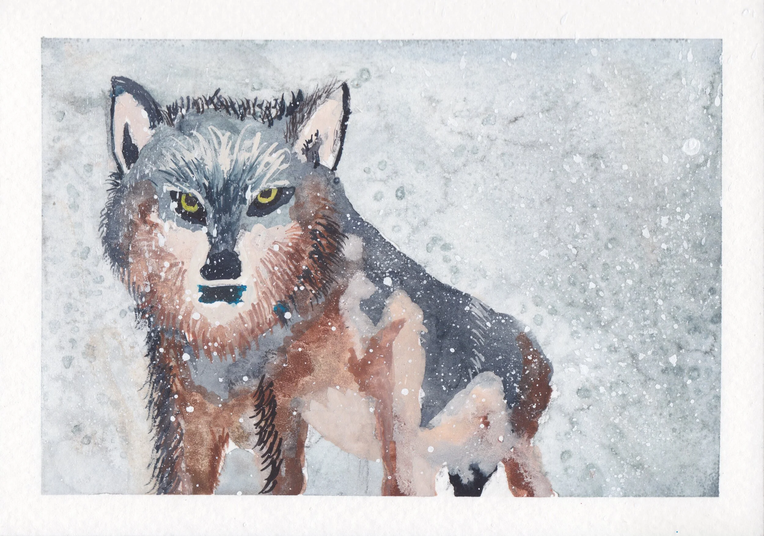 wolf+in+snow.jpg