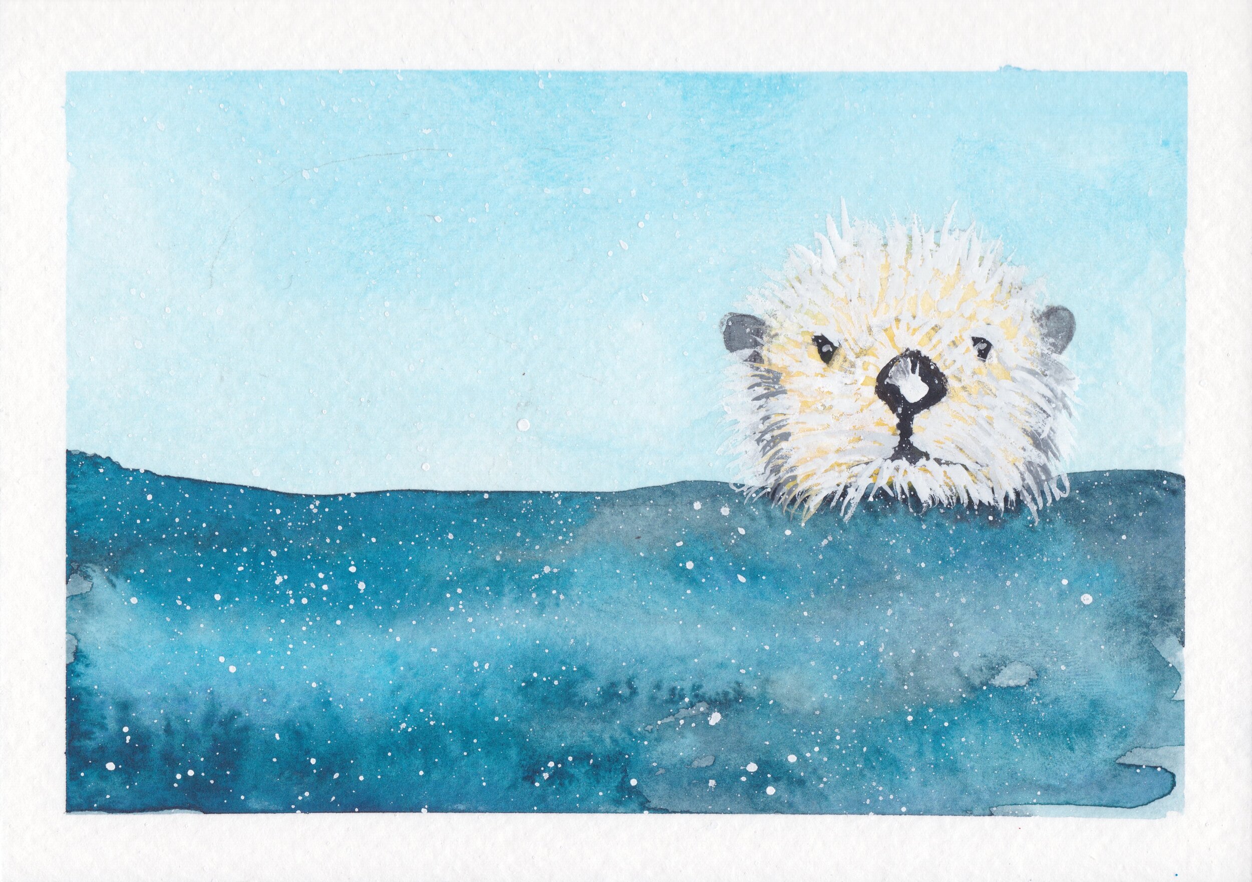 otter+in+snow.jpg
