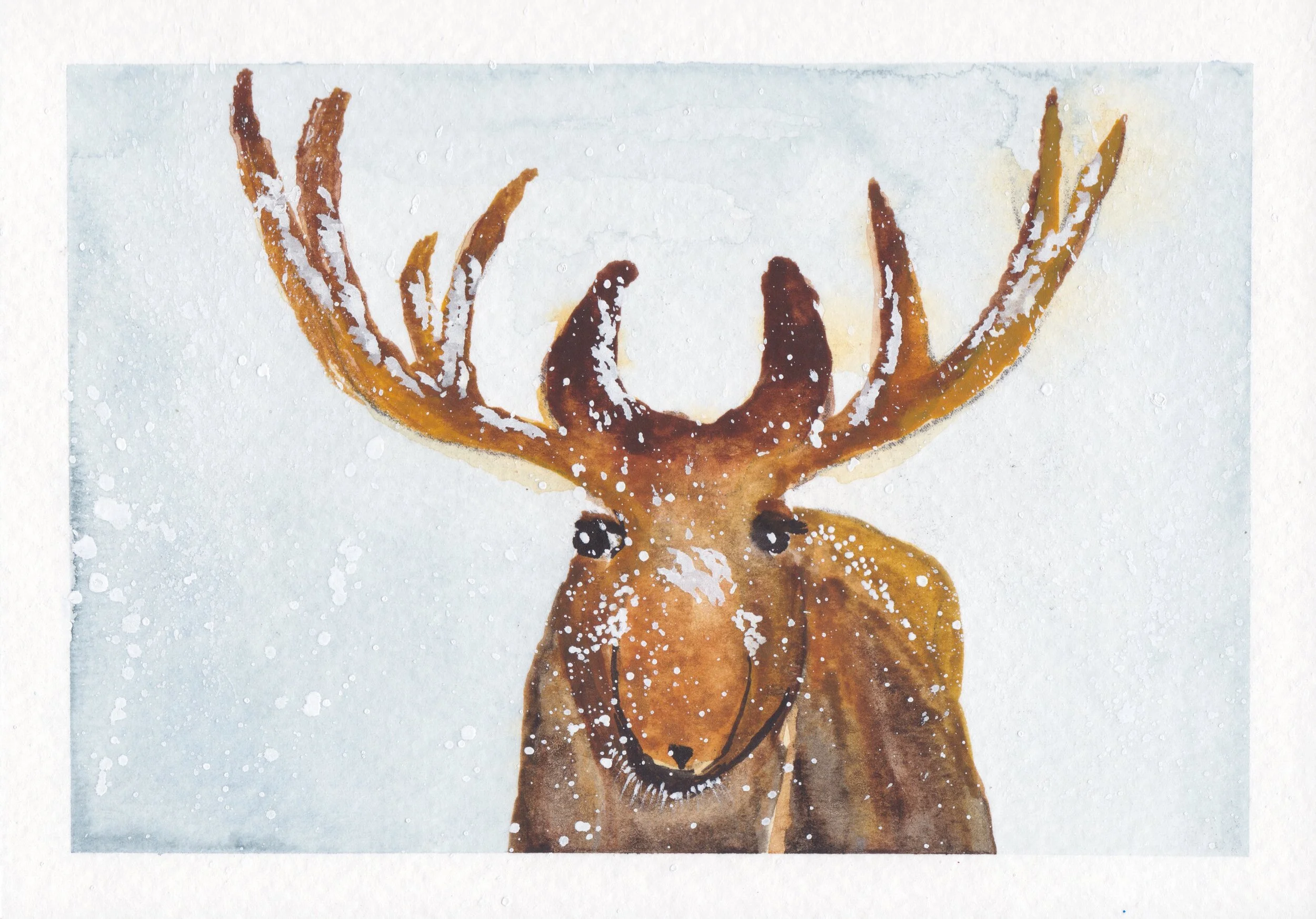 moose+in+snow.jpg