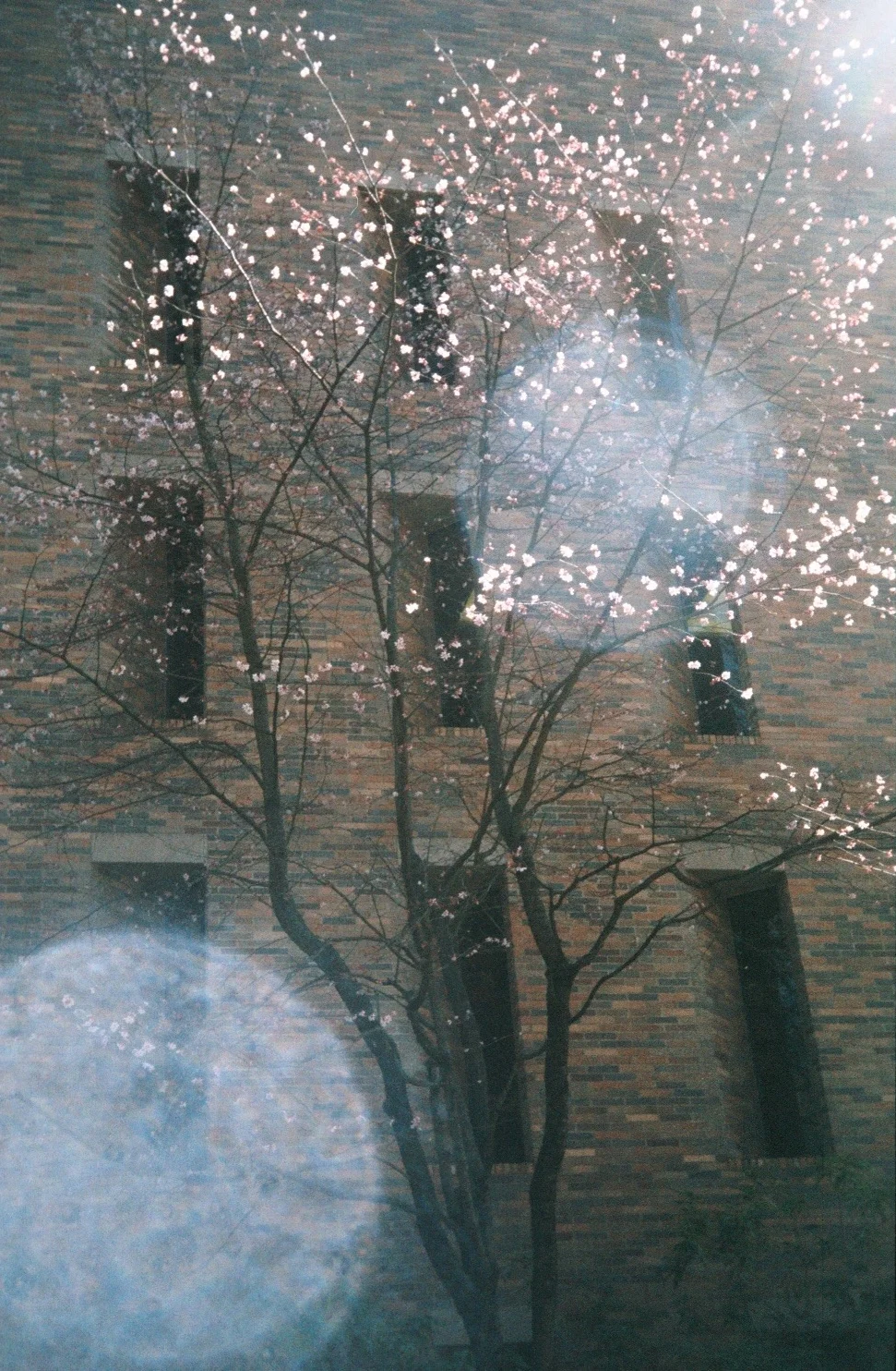 2013