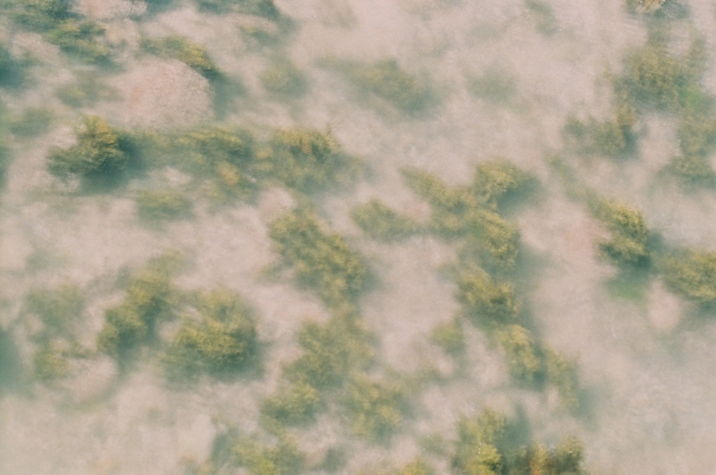 Weed Underwater, 2015