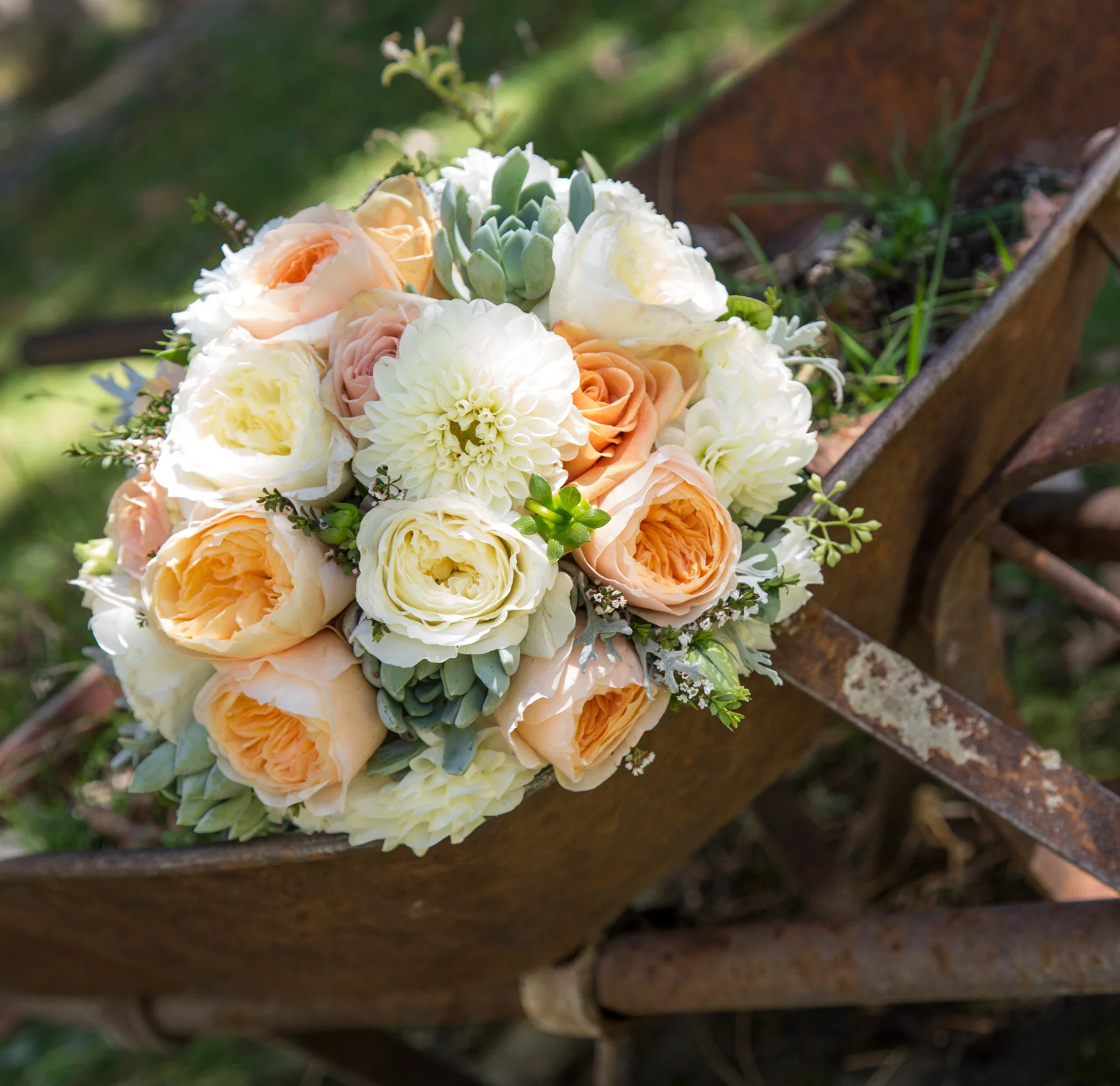 truckee-wedding-photographer-2.jpg