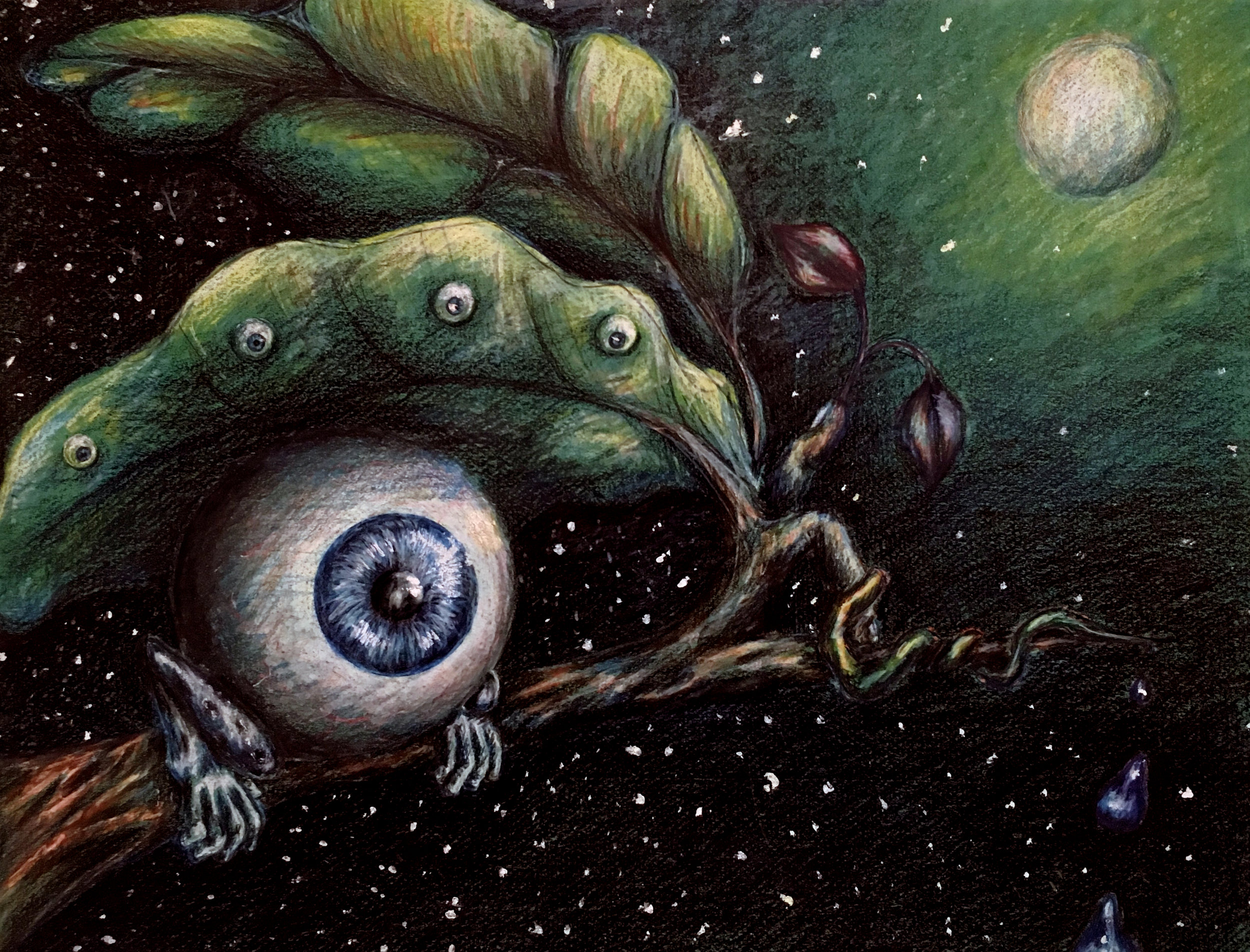 Eyes Under Stars
