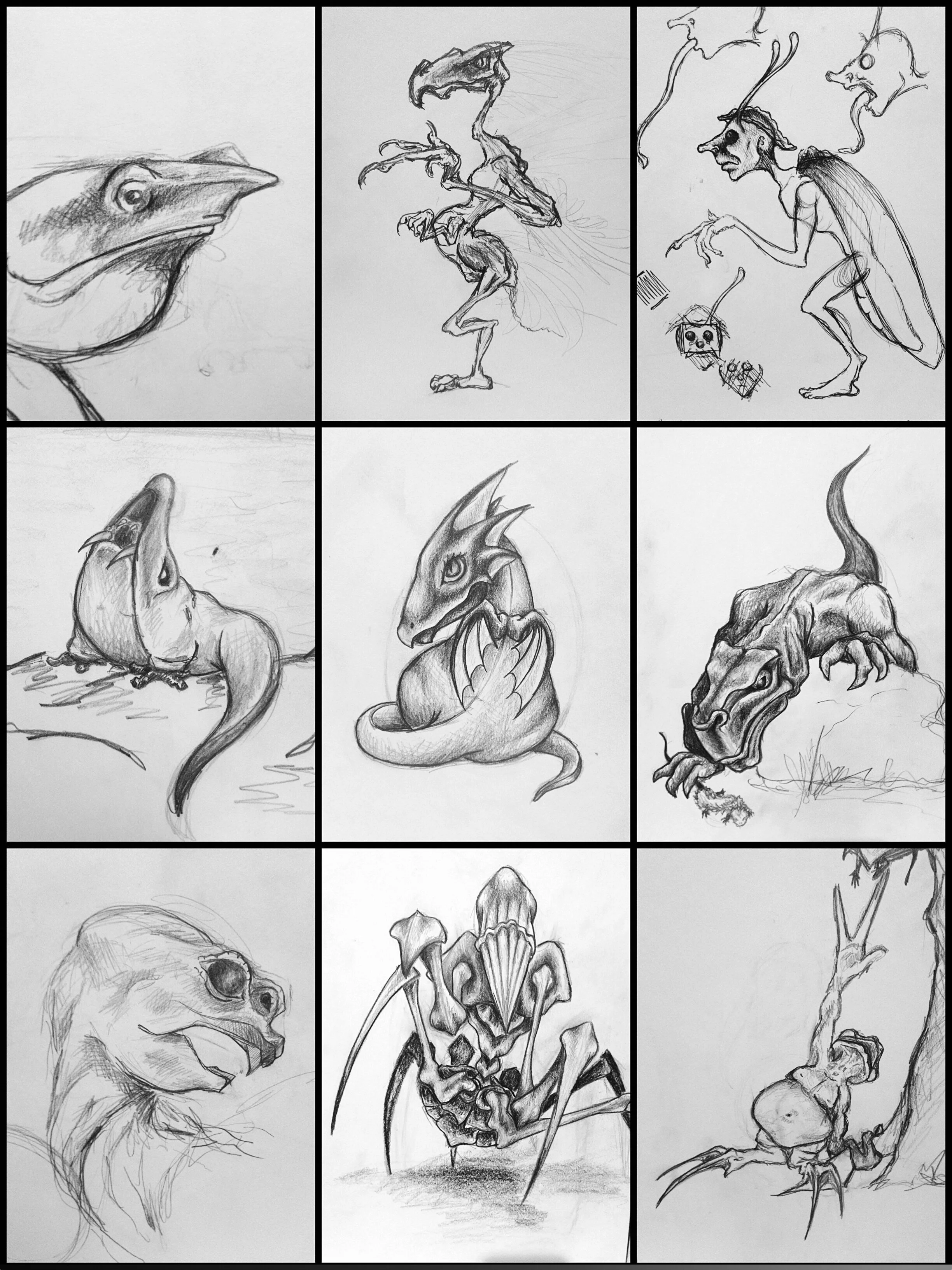 GP+-+Critter+Sketches.jpg