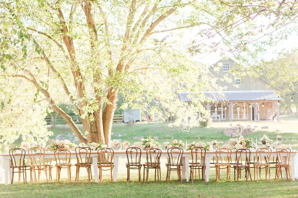 Outdoor Wedding Reception at Big Spring Farm.jpg