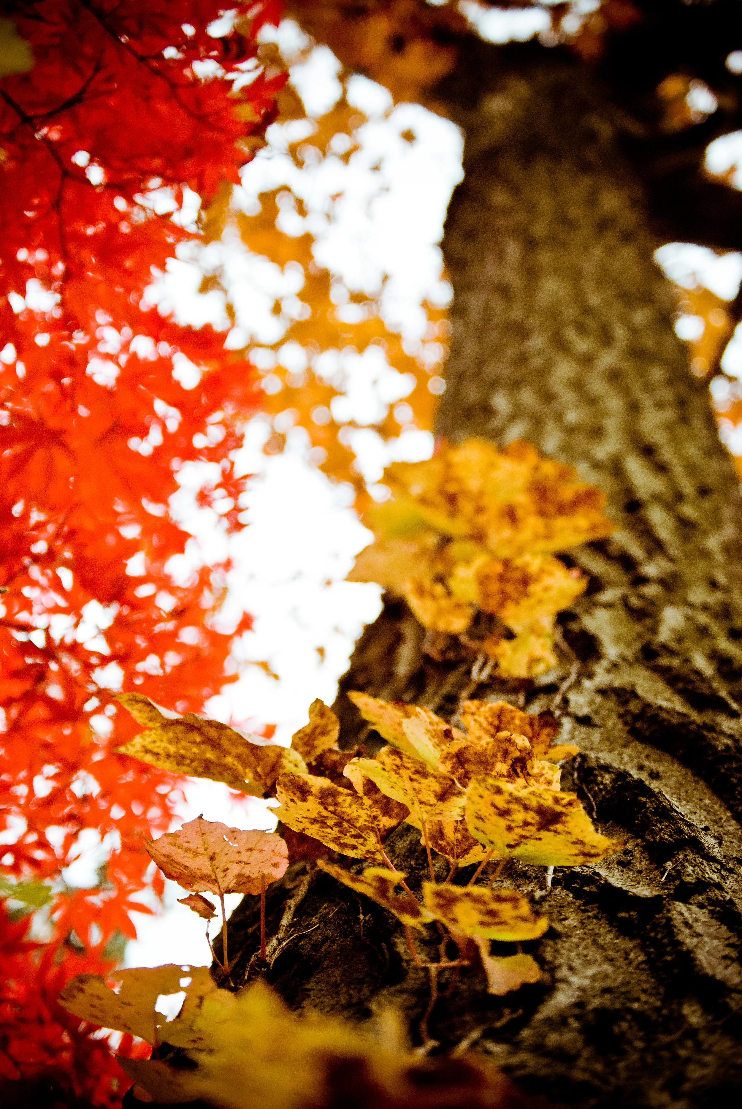 _DSC3854.jpg