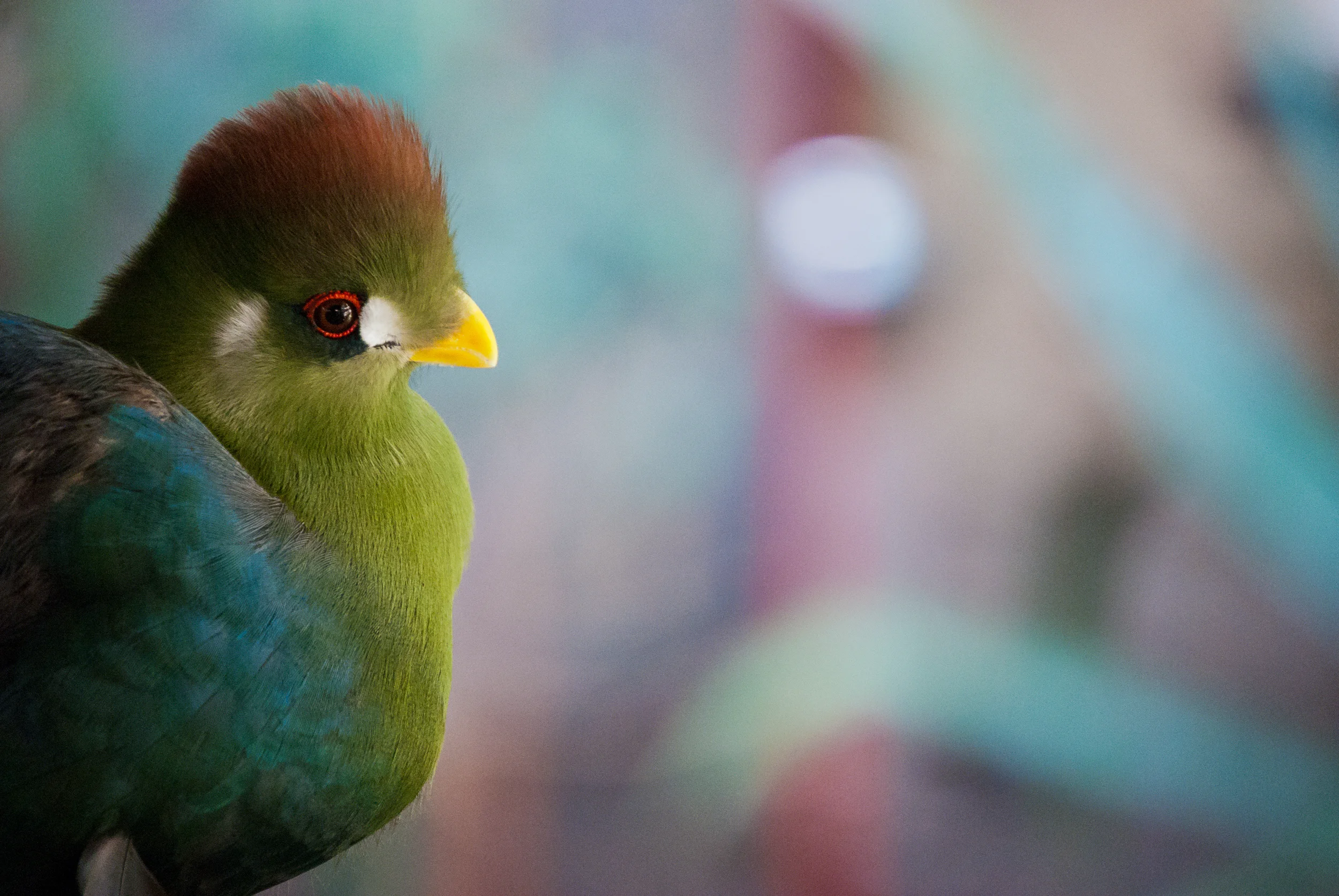 DSC_4746.jpg