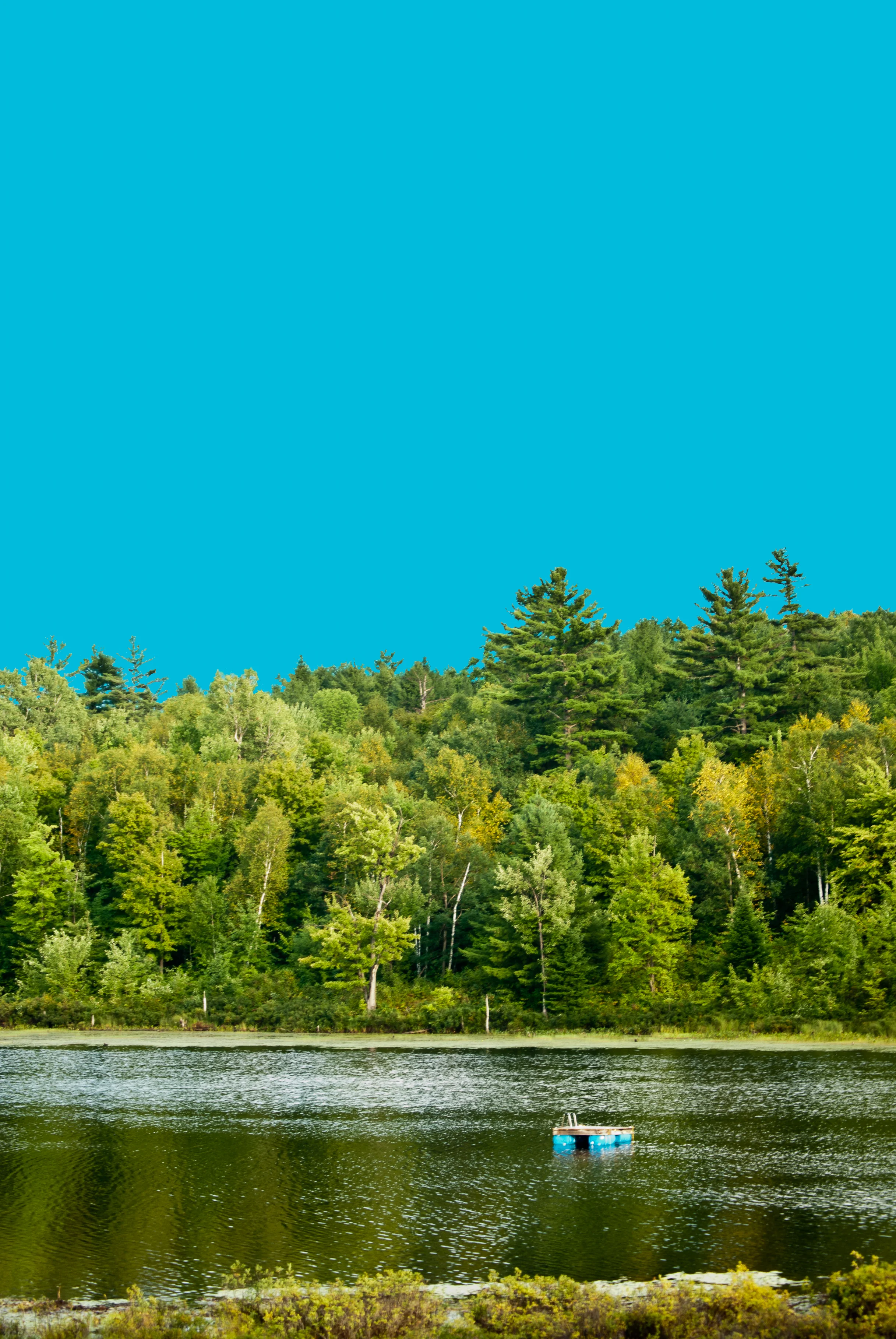 DSC_6960-Edit.jpg