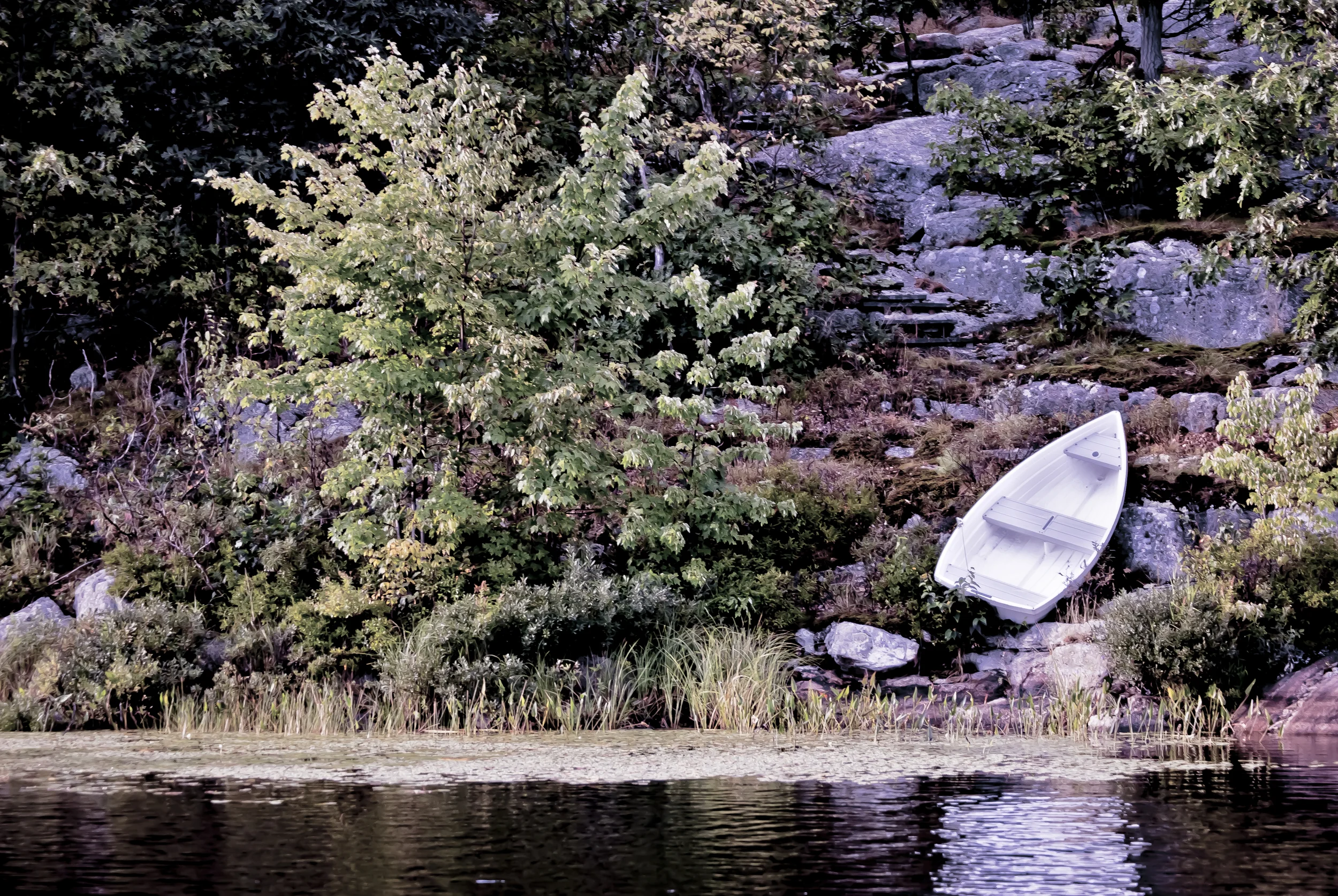 DSC_6990.jpg