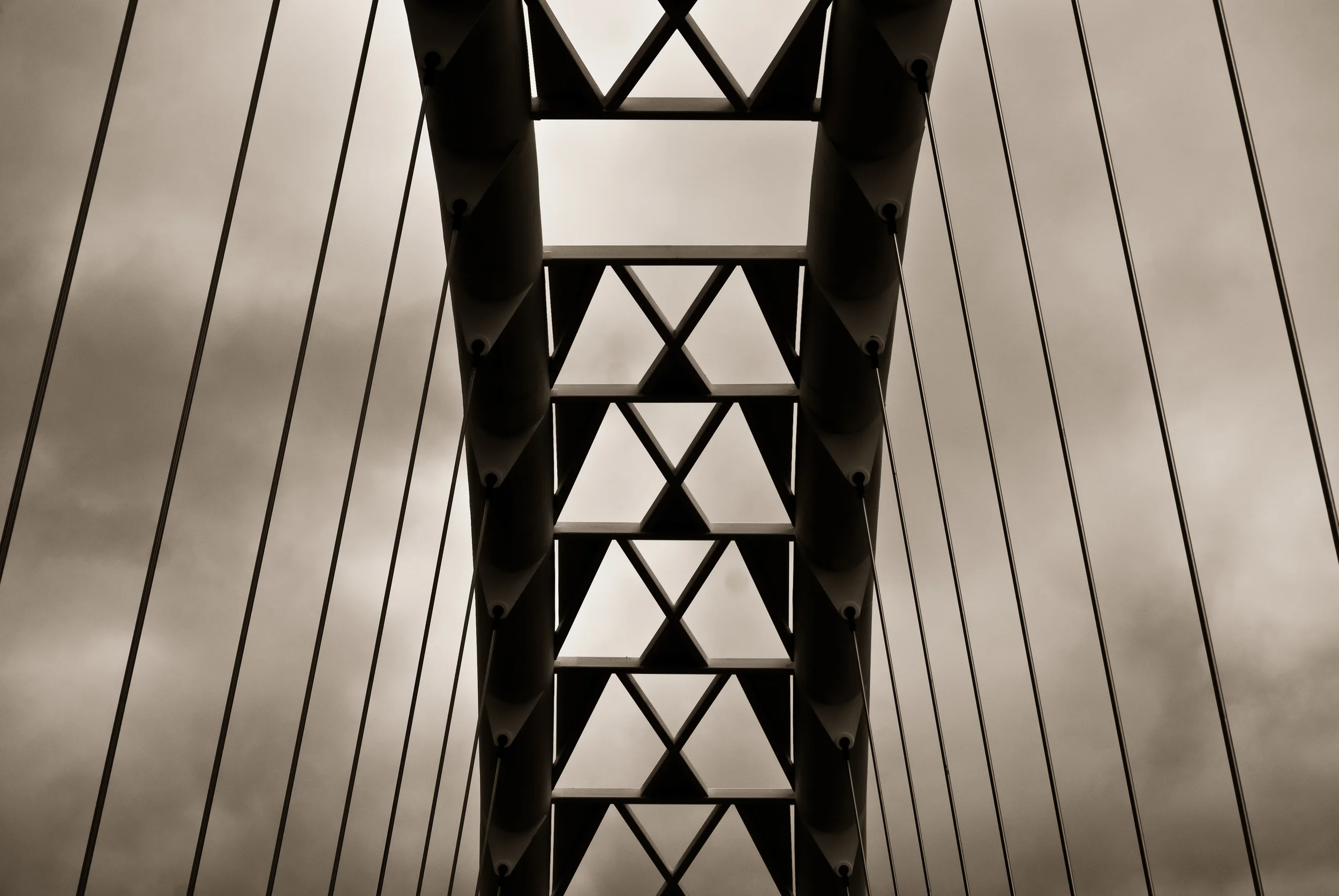MS016©MatthiasFlynn.jpg