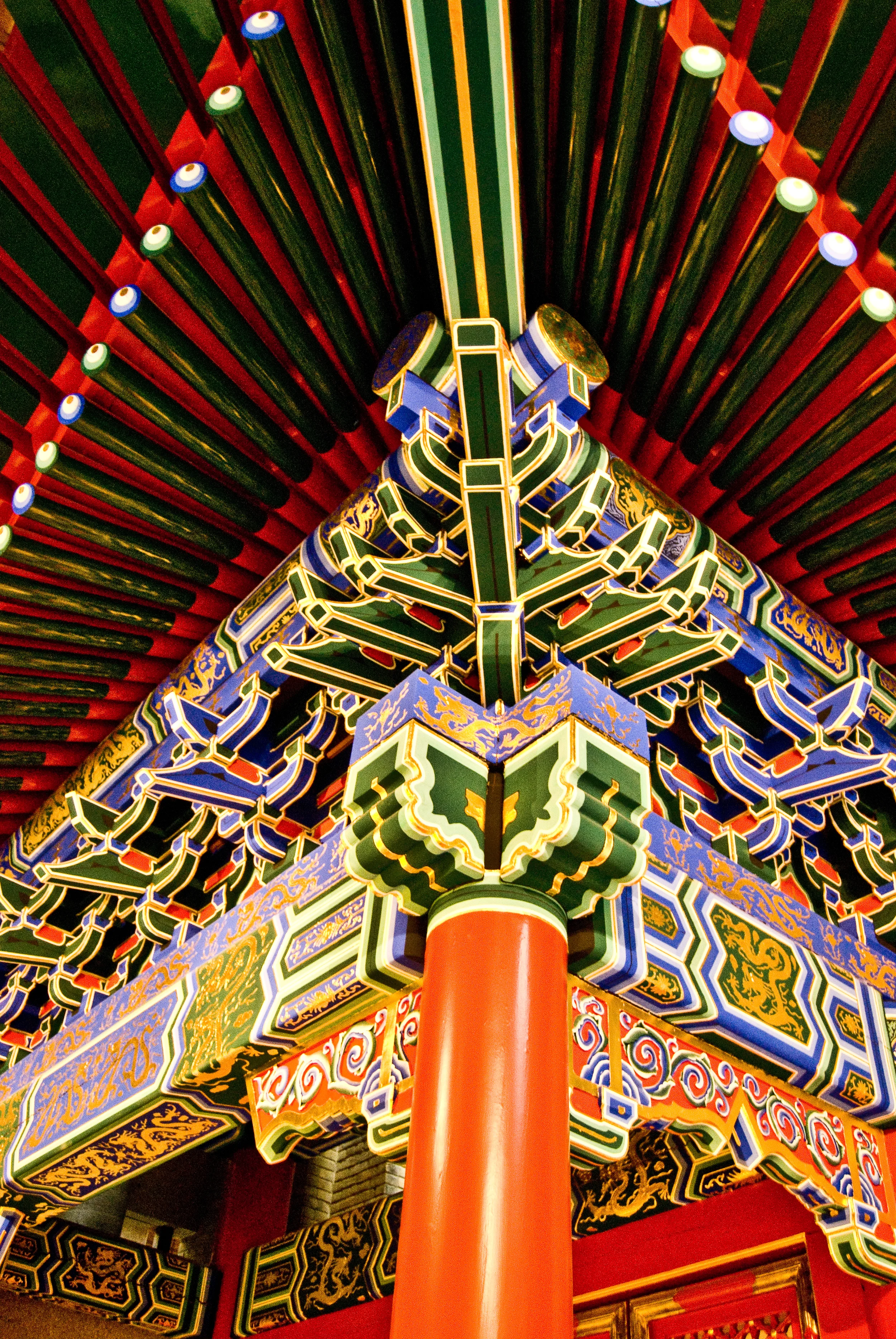 ROM019©MatthiasFlynn.jpg