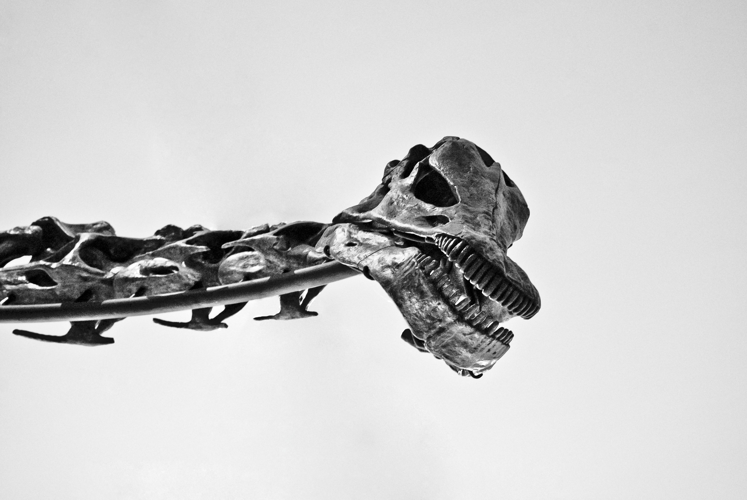 ROM046©MatthiasFlynn.jpg