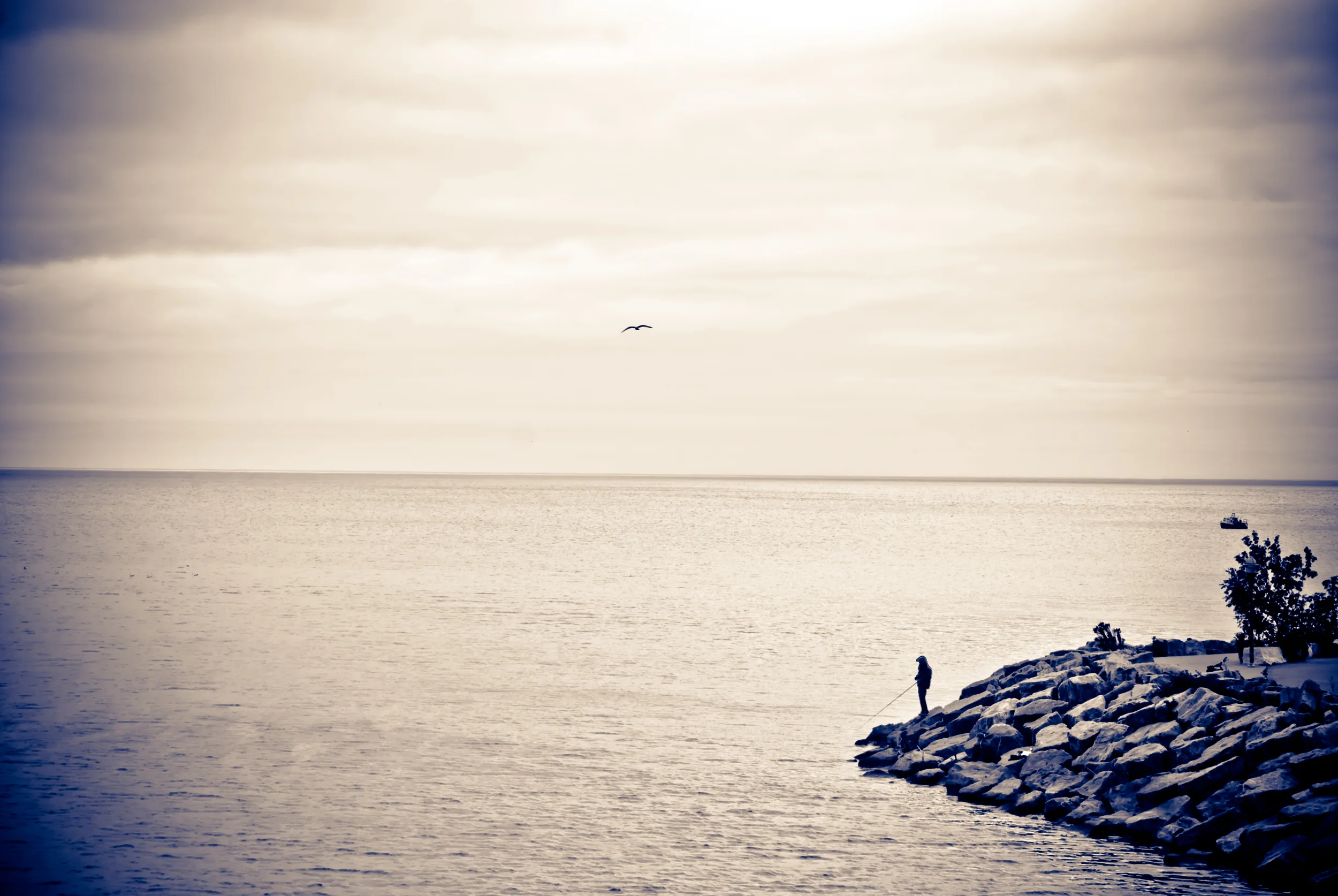 MS021©MatthiasFlynn.jpg