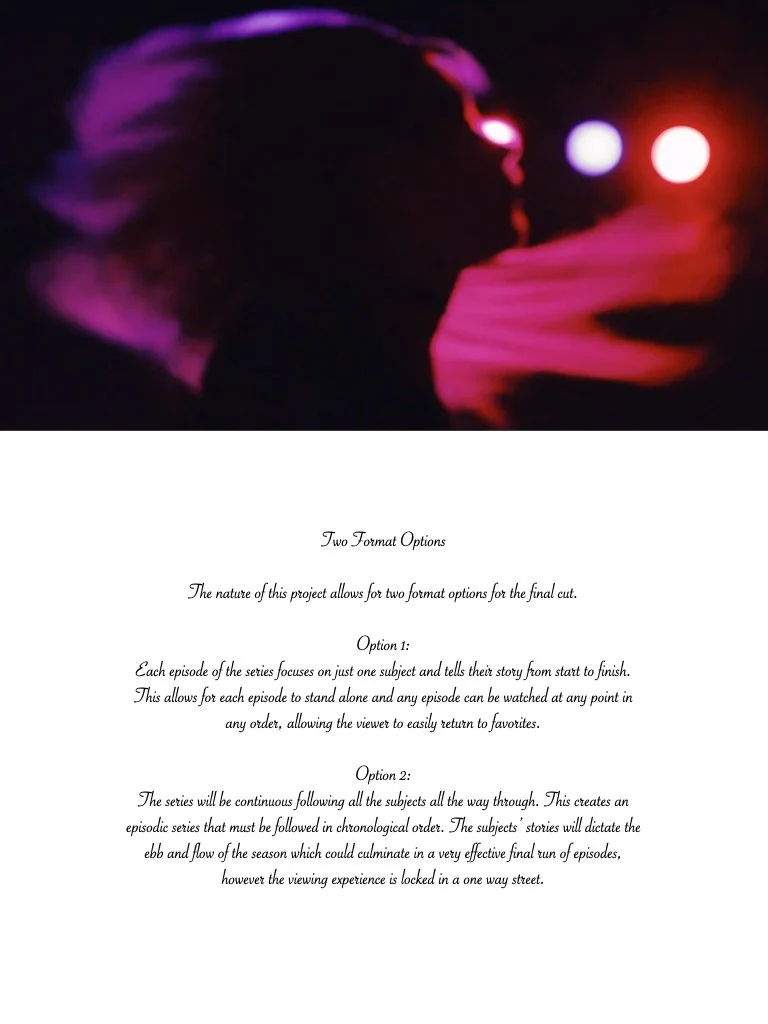 DC pitchdeck.006.jpeg