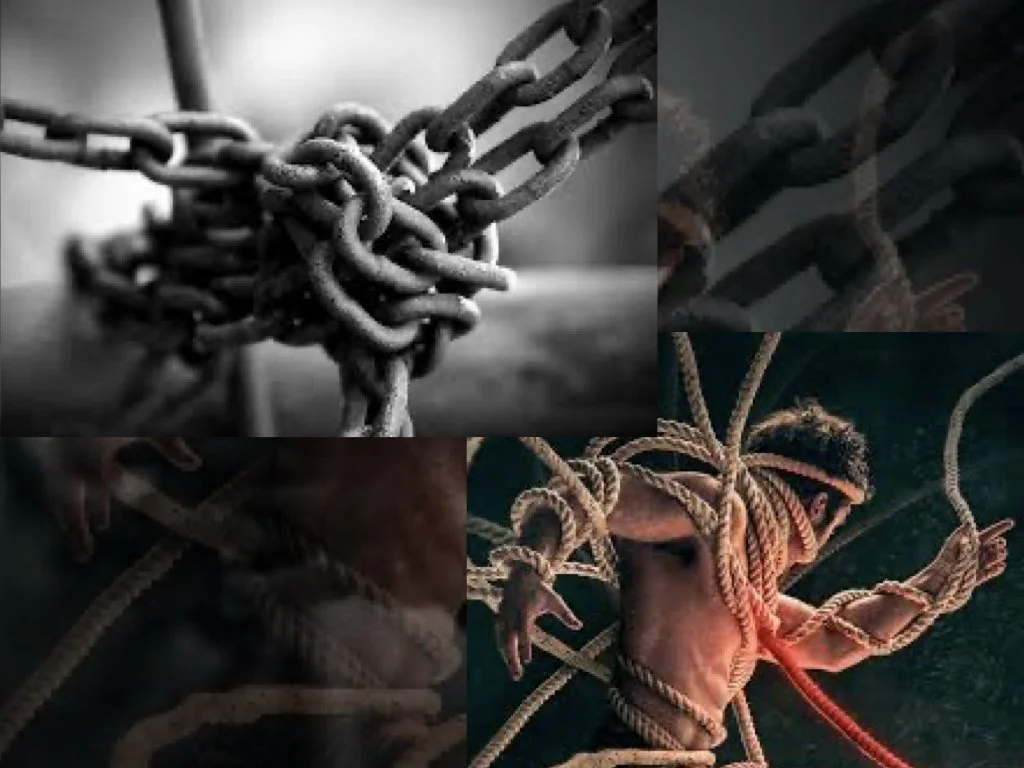 CC teaser lookbook website.010.jpeg