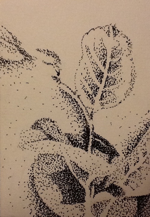 How To Tell The Difference Between Pointillism Stippling Dot Art