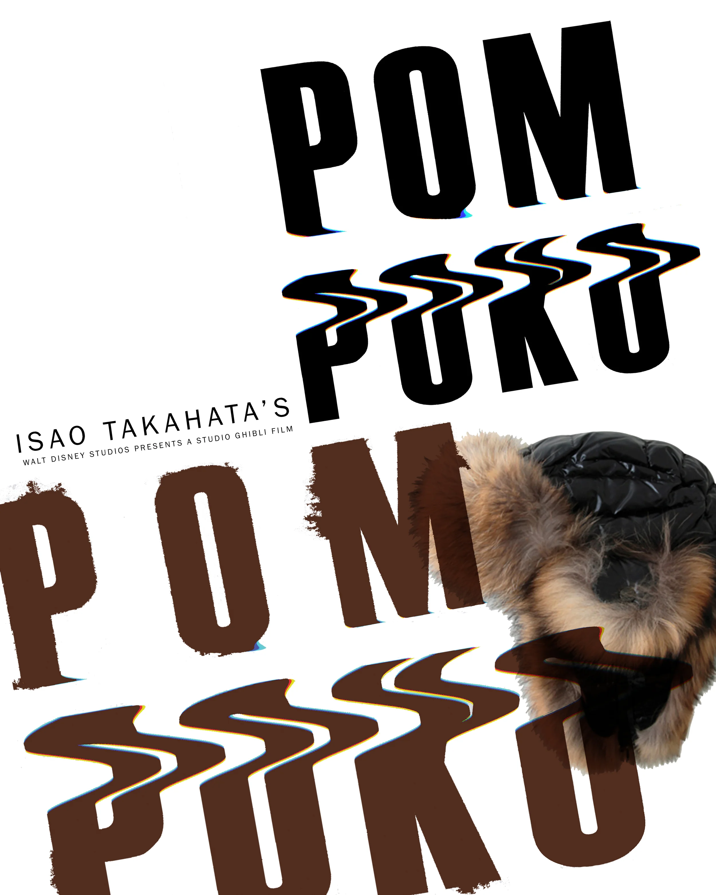 pom poko.jpg