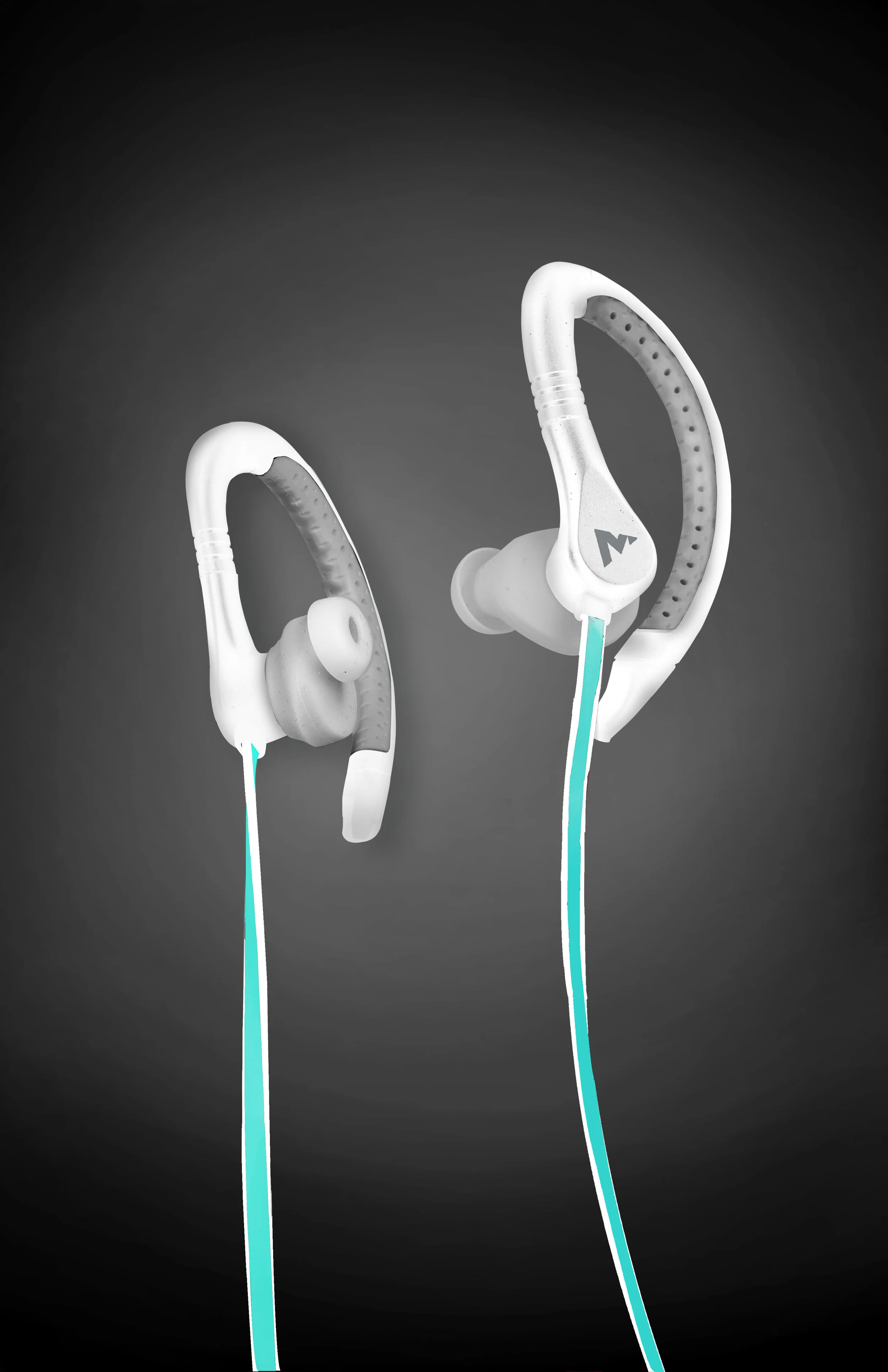 Earbuds (White & Grey).jpg