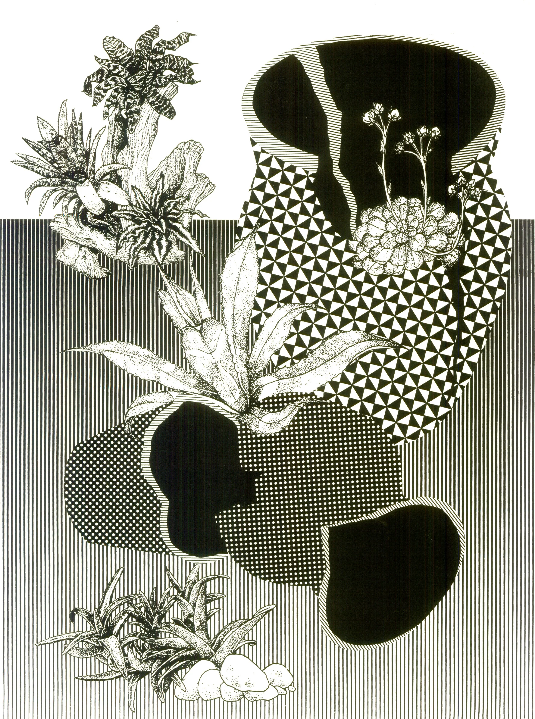 Some day plants will cover everything Screenprint 18" x 24" 2014