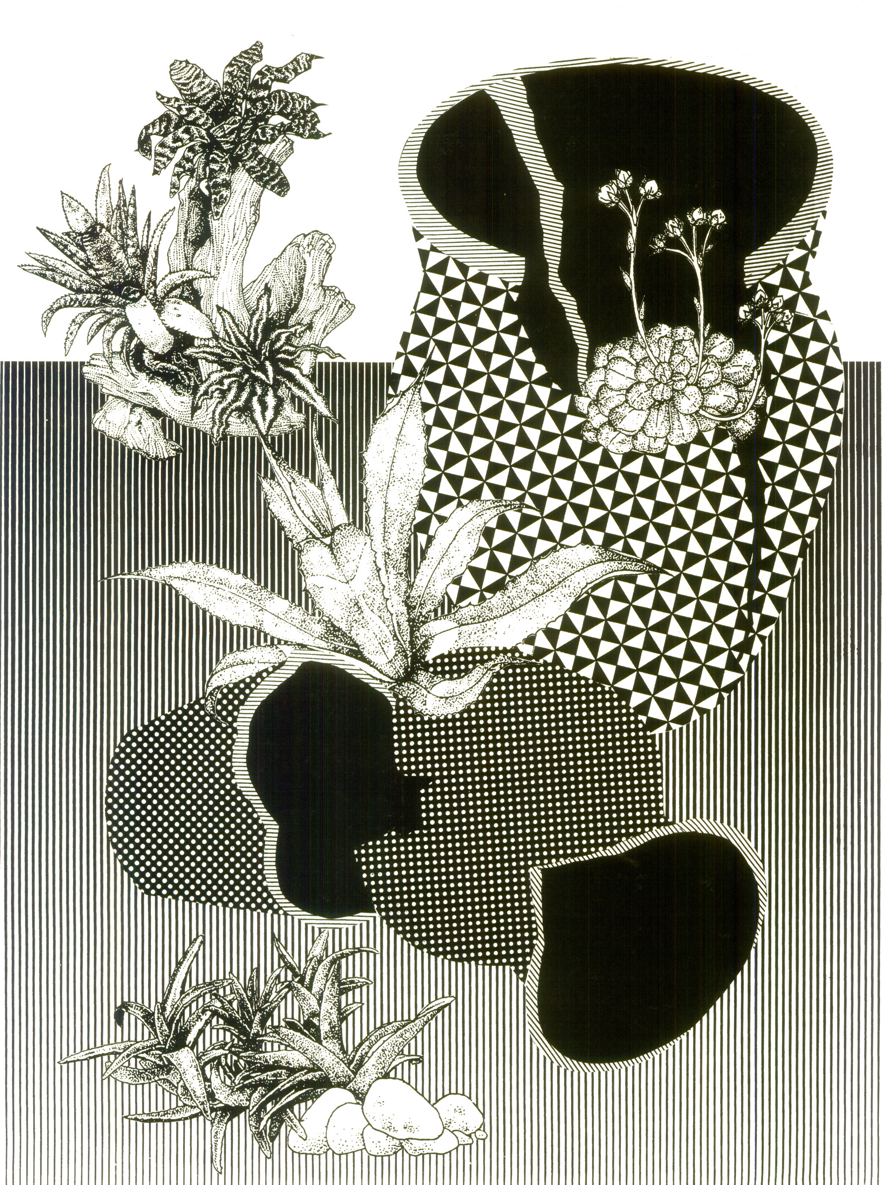  Some day plants will cover everything  Screenprint  18" x 24"  2014 