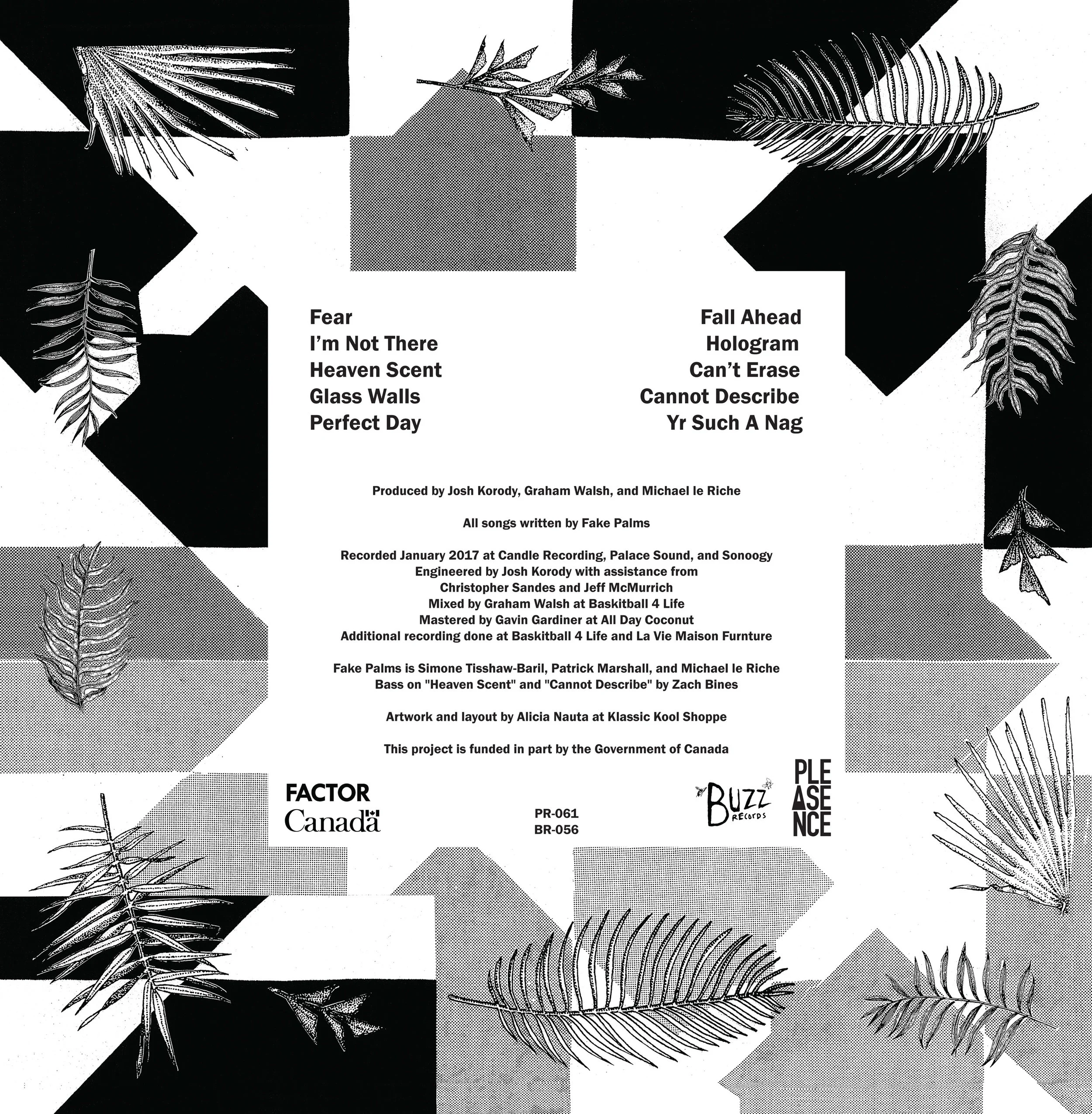 back cover Fake Palms, Pure Mind 12" LP 2017