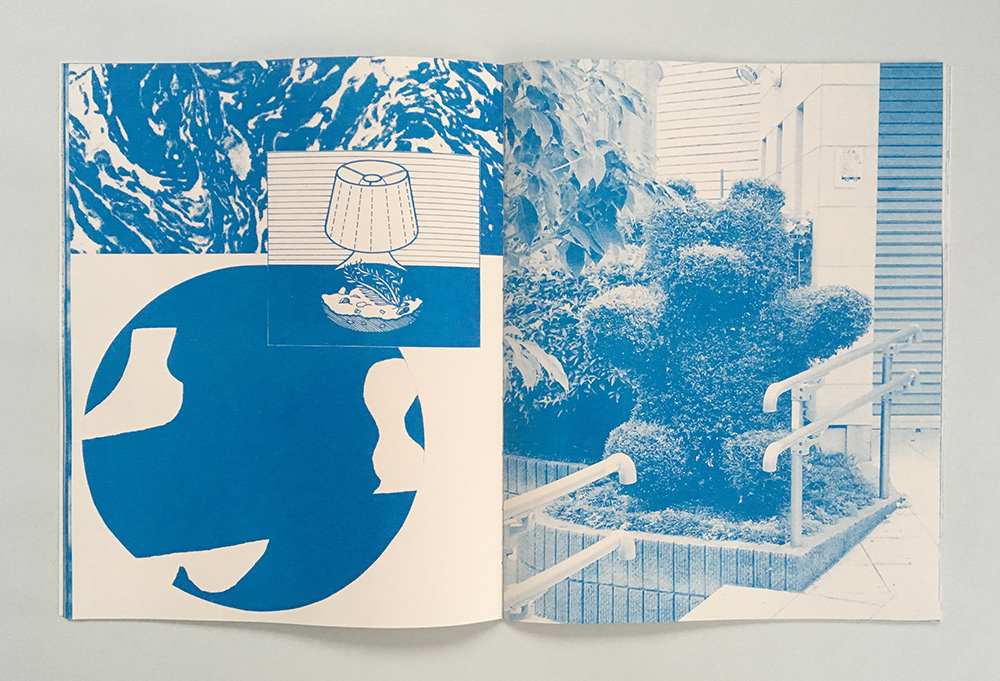Flowers from a distance collaboration with Eunice Luk 32 pages, risograph and thermograph printed, hand sewn binding 2017