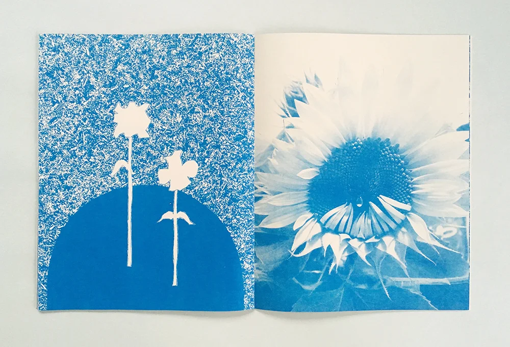 Flowers from a distance collaboration with Eunice Luk 32 pages, risograph and thermograph printed, hand sewn binding 2017