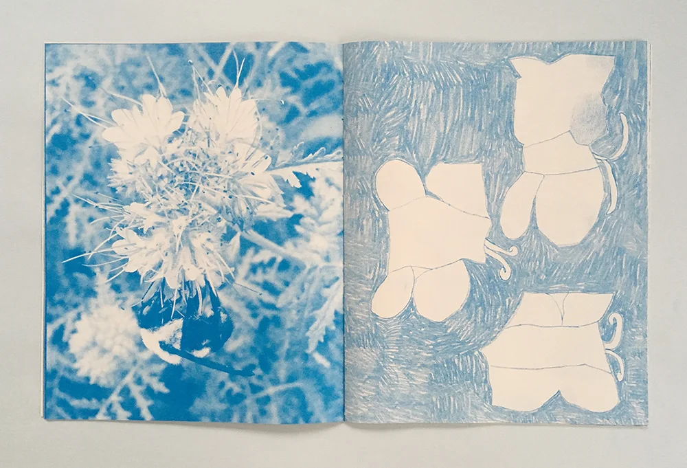 Flowers from a distance collaboration with Eunice Luk 32 pages, risograph and thermograph printed, hand sewn binding 2017