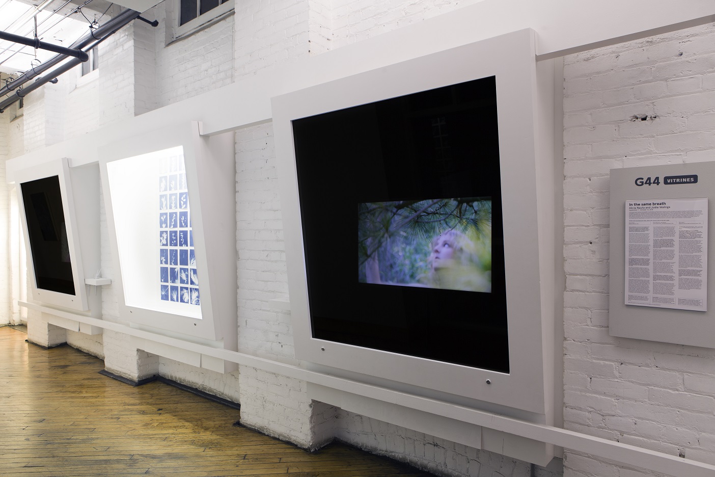  In the same breath, installation shot  Collaboration with Joële Walinga September 7 - October 13, 2018 Gallery 44, Toronto  This exhibition investigates the transference of memory from one living thing to another. "In the same breath" documents Naut