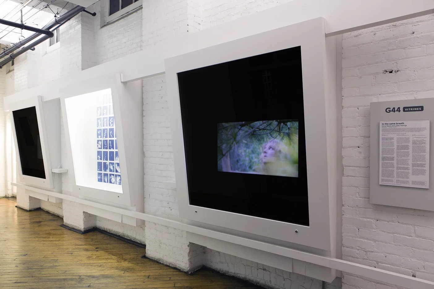 In the same breath, installation shot Collaboration with Joële Walinga September 7 - October 13, 2018 Gallery 44, Toronto This exhibition investigates the transference of memory from one living thing to another. "In the same breath" documents Nauta and Walinga speaking their most intimate memories to plants, capturing these interactions in a series of silent videos and cyanotype prints. Exploring the possibility that plants can retain memory and hold emotions, cuttings from these plants are distilled, creating scents to accompany the works and offering intimate possibilities for engaging the natural world. gallery44.org/exhibitions/same-breath