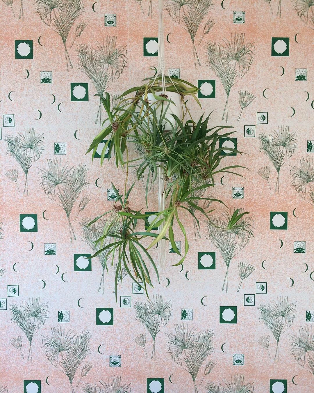 custom screenprinted wallpaper 8ft x 18ft Toronto, 2019