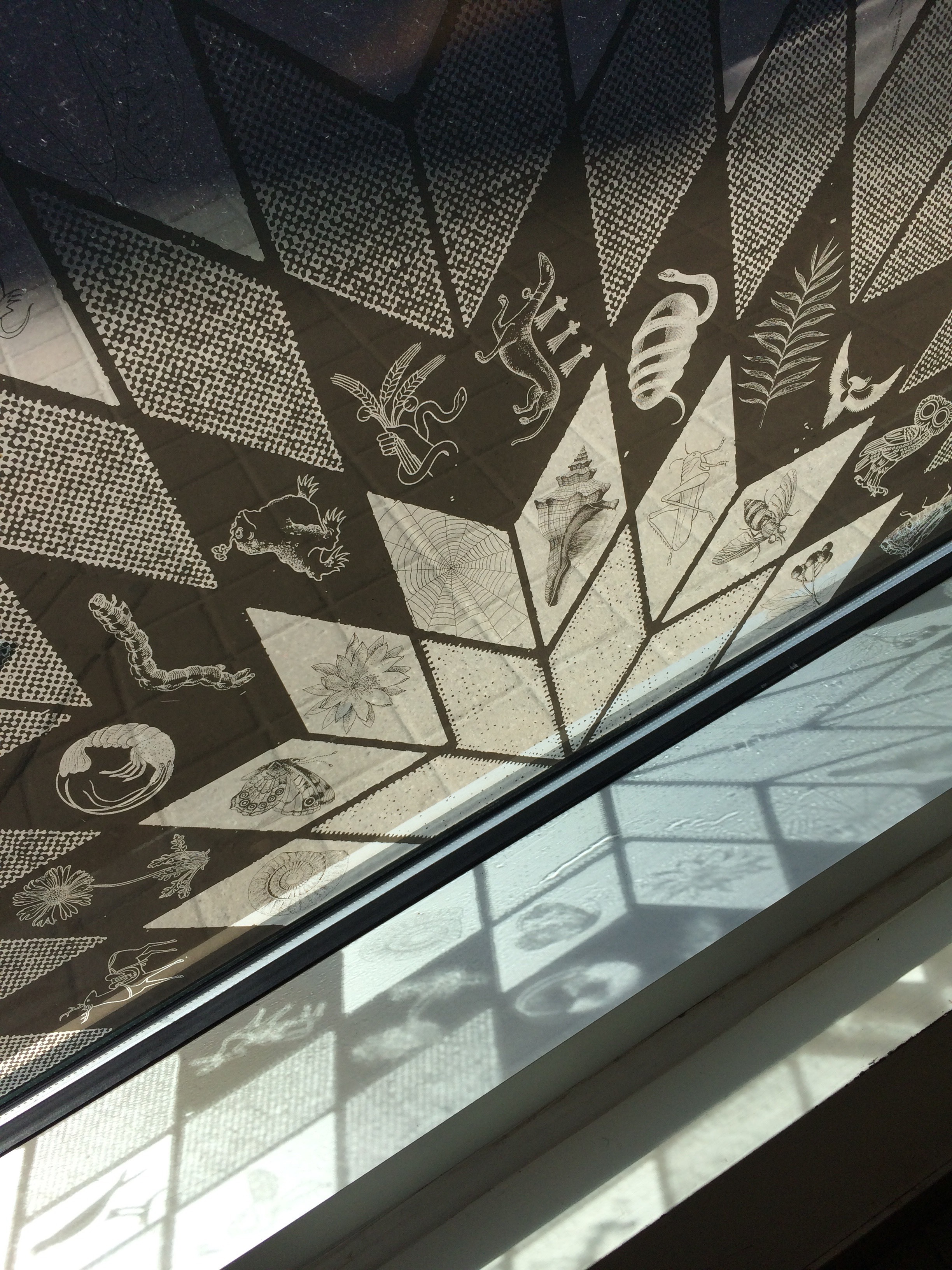 Wandering Star window vinyl installation the Browsery at Toronto Reference Library, Toronto spread across window area of 8ft x 60ft 2019