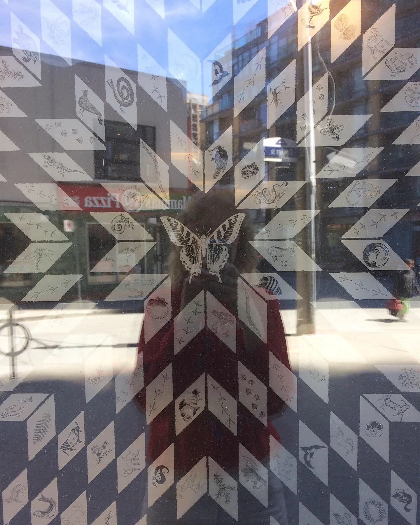 Wandering Star window vinyl installation the Browsery at Toronto Reference Library, Toronto spread across window area of 8ft x 60ft 2019