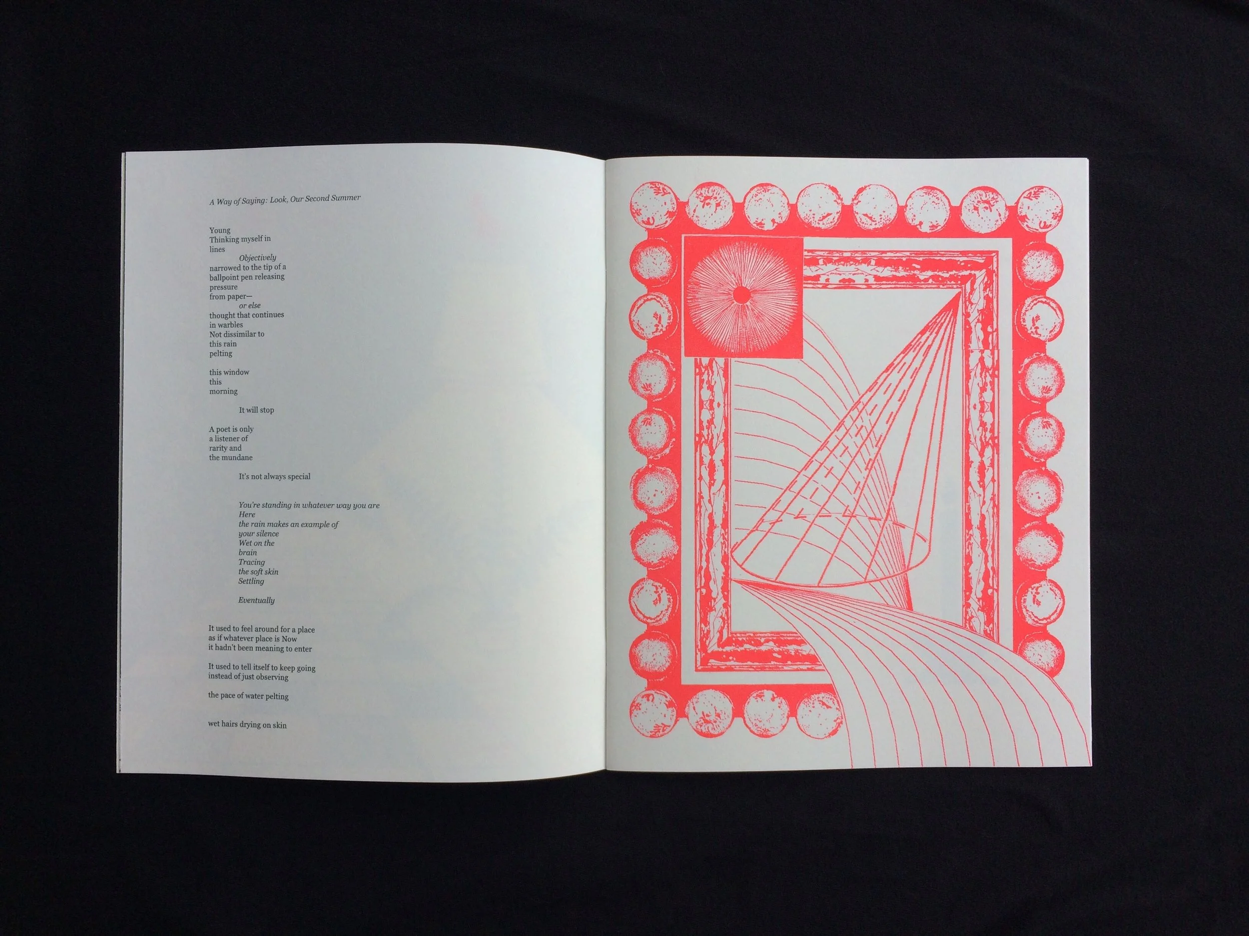 So far from the water and thirsty Collaboration with Brooke Manning 24 pages, saddle stitched, risograph printed edition of 200 2018