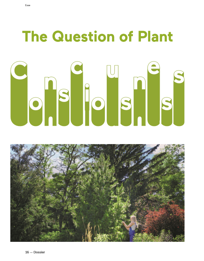  The question of plant consciousness  by Emma Lansdowne  Esse magazine  May 2020 