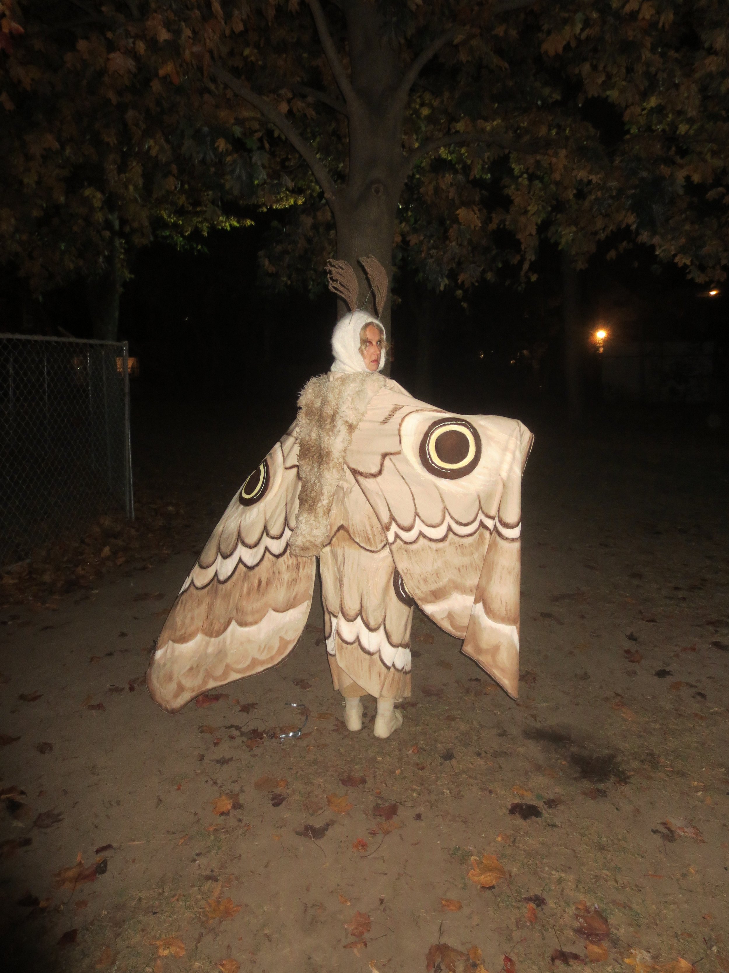  moth  2023 