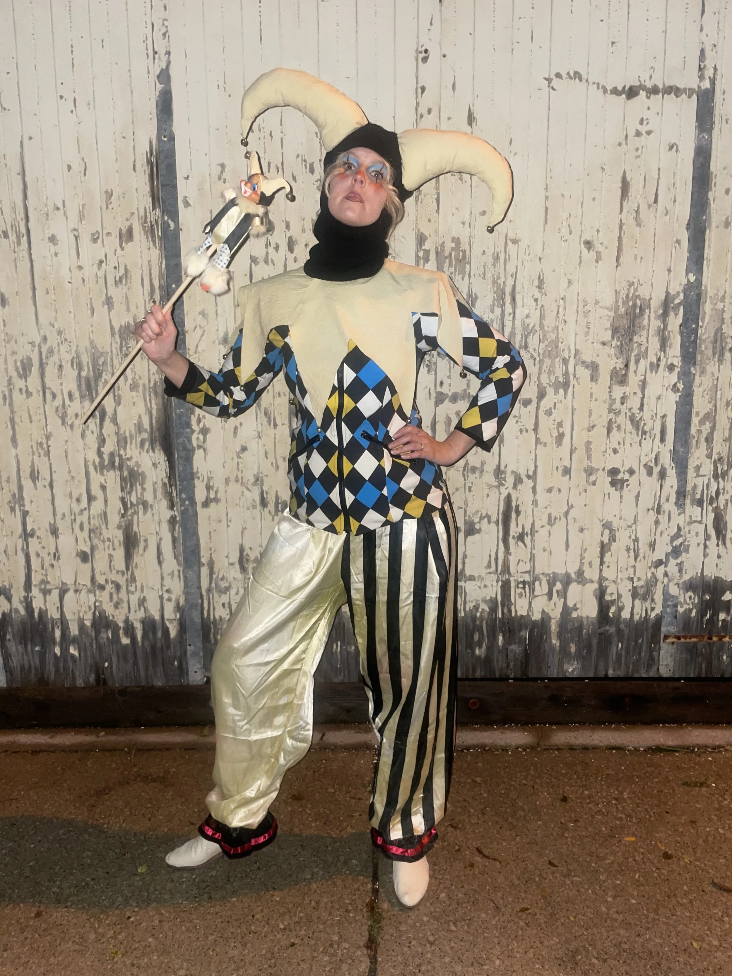  A  Jester…a Joker…a fool, if you will  2025 