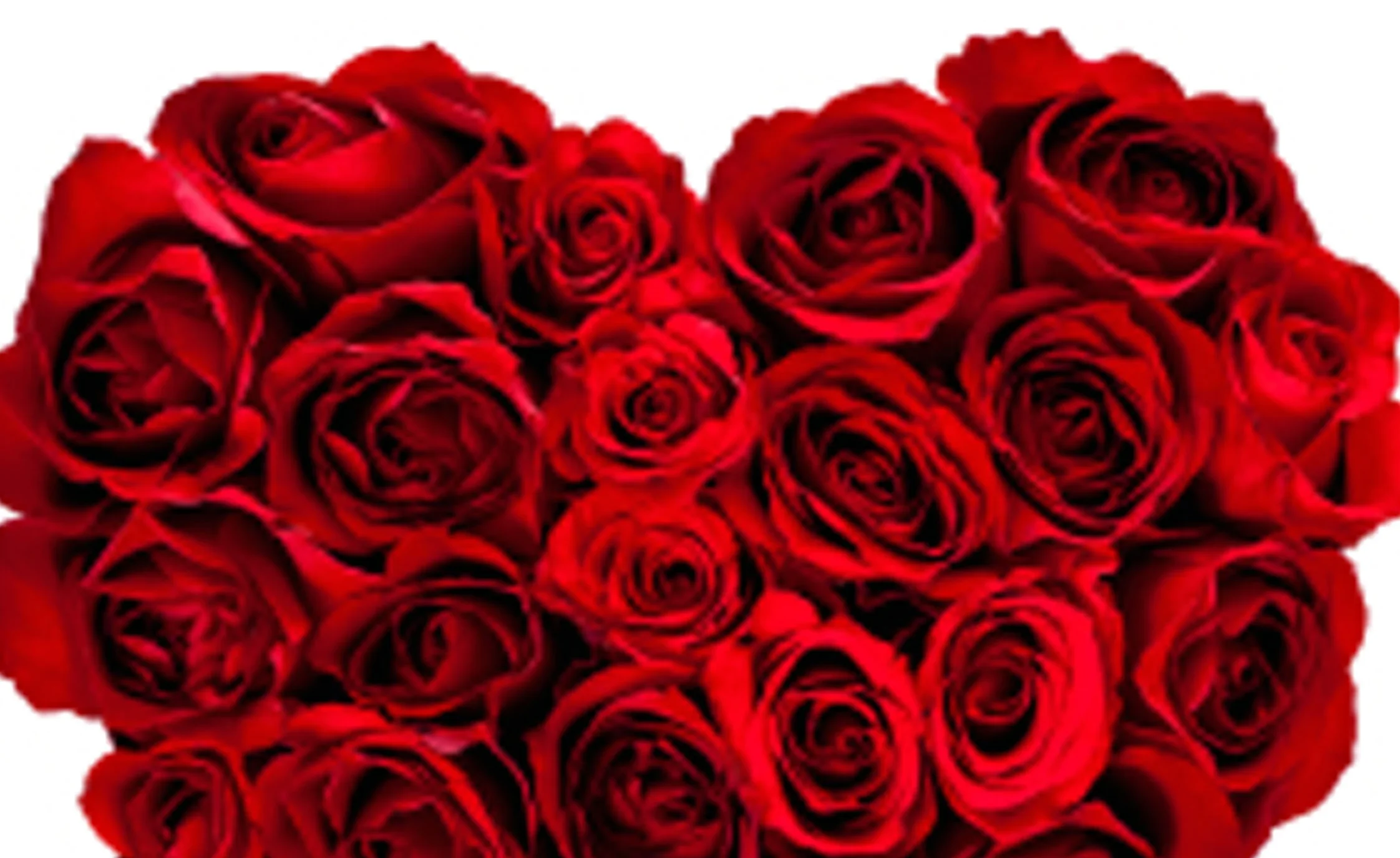 Heart red roses.jpeg
