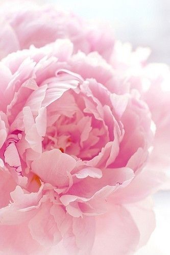 THE SUMMER IS ARRIVING, BRINGING ITS GIFTS OF BEAUTY! Blessings!