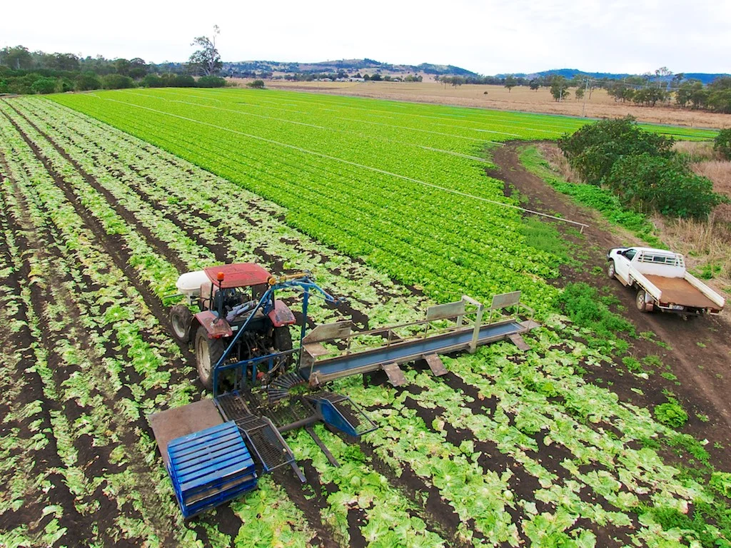 1599 Brightview rd Brightview - web res 20.jpg