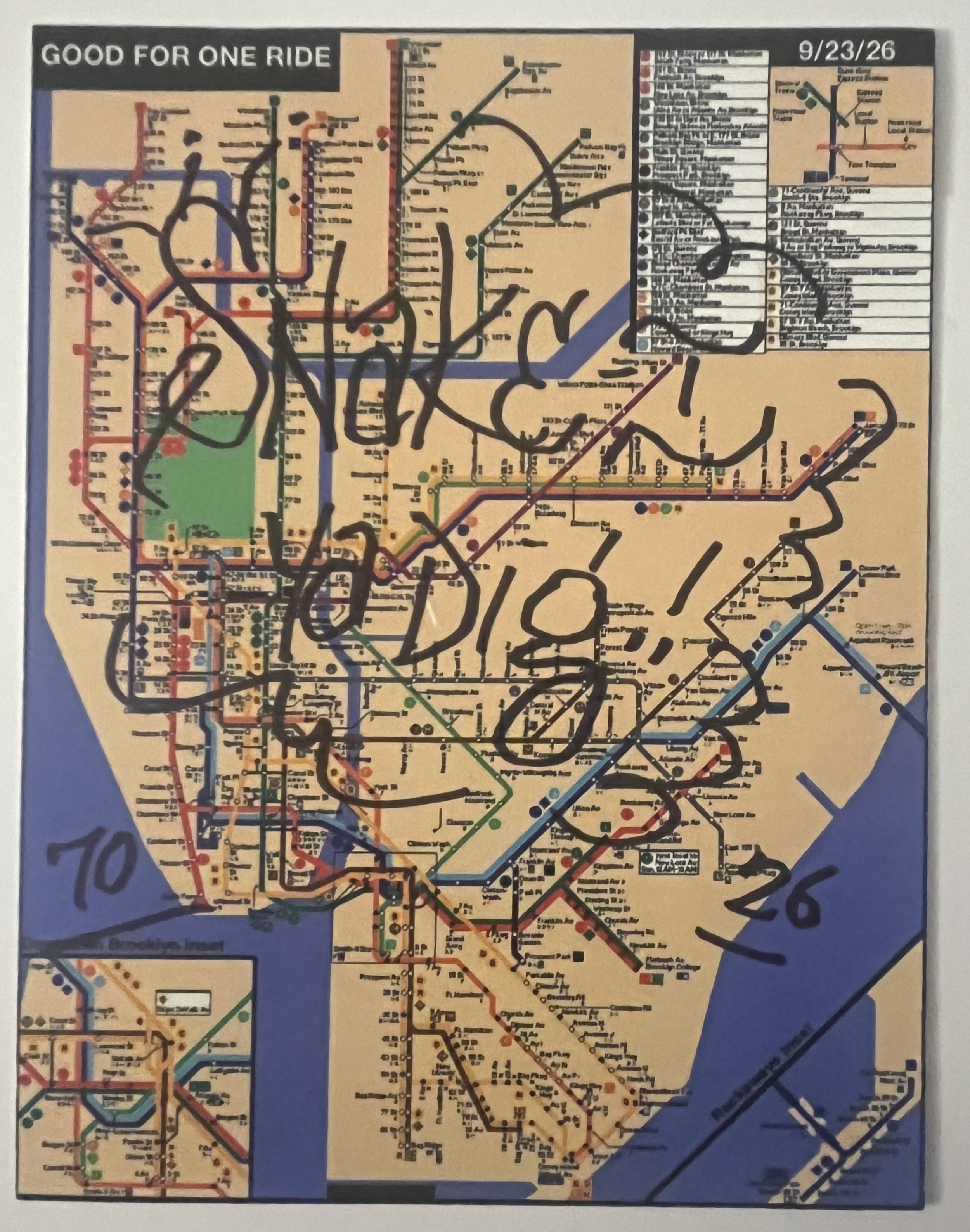 Snake NYC MTA Subway map