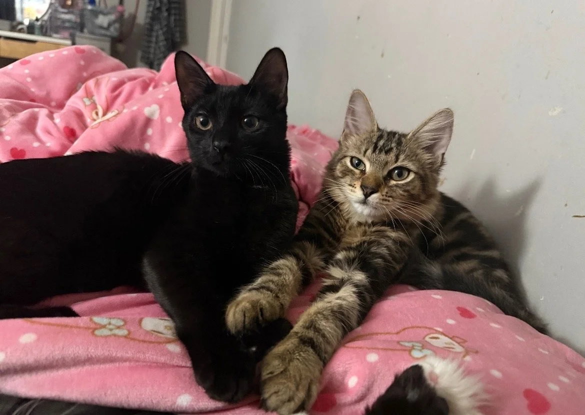 Posie & Pete.jpg