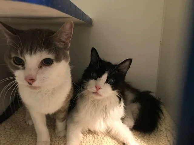 Eric & Mason.JPG