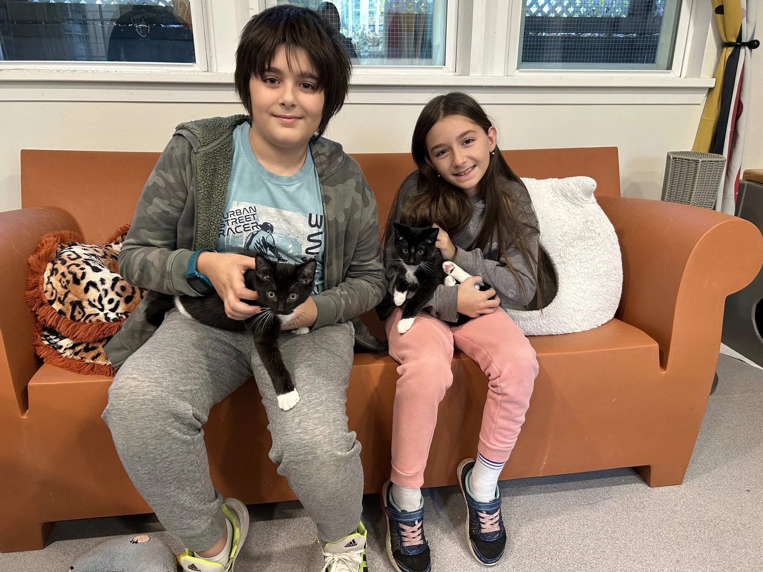 Michelangelo & Raphael.JPG