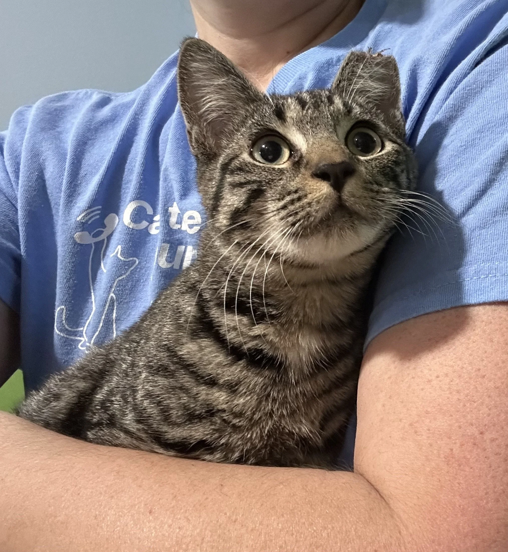 Tabster1.jpg