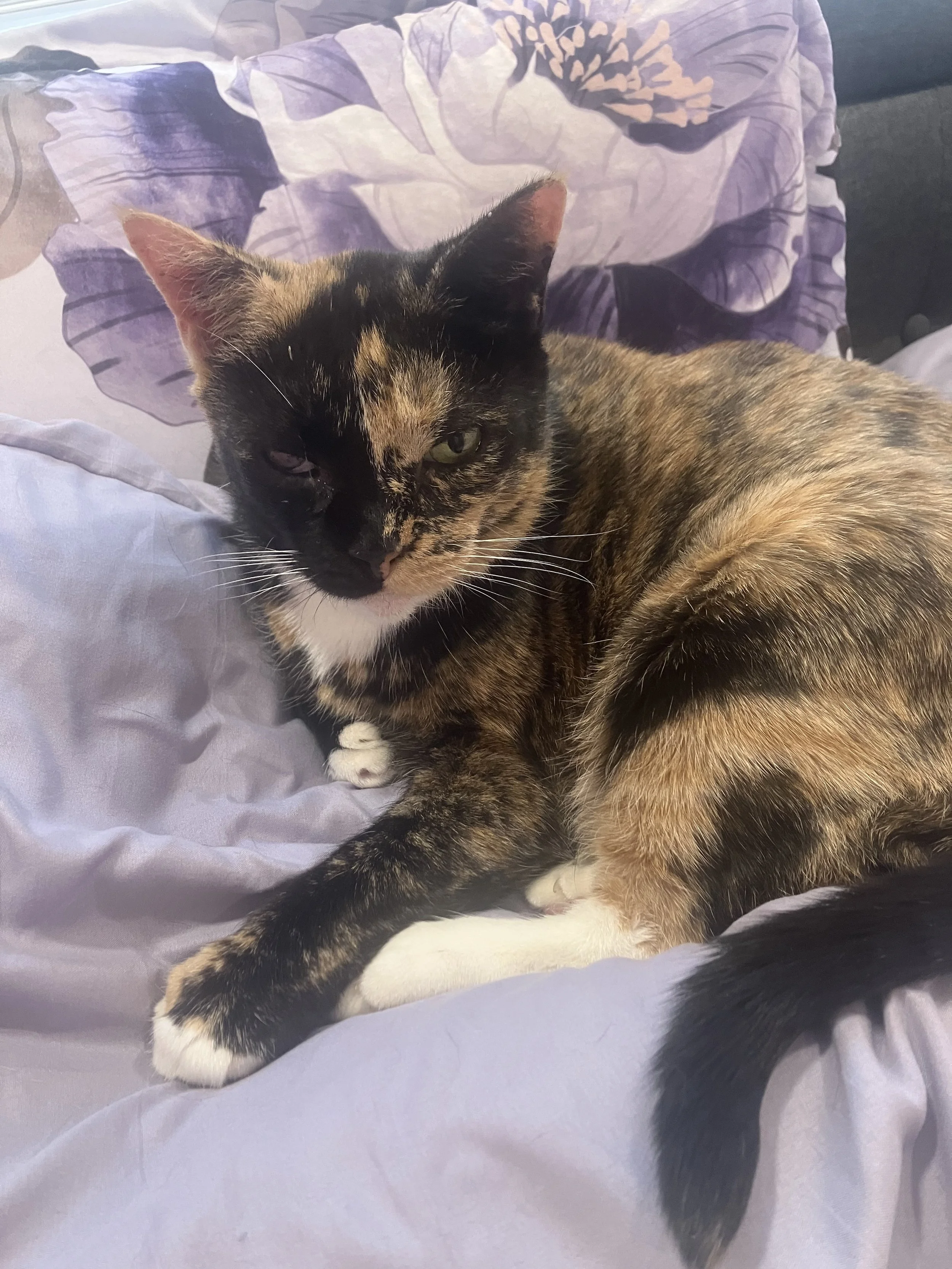 Penelope2.jpg