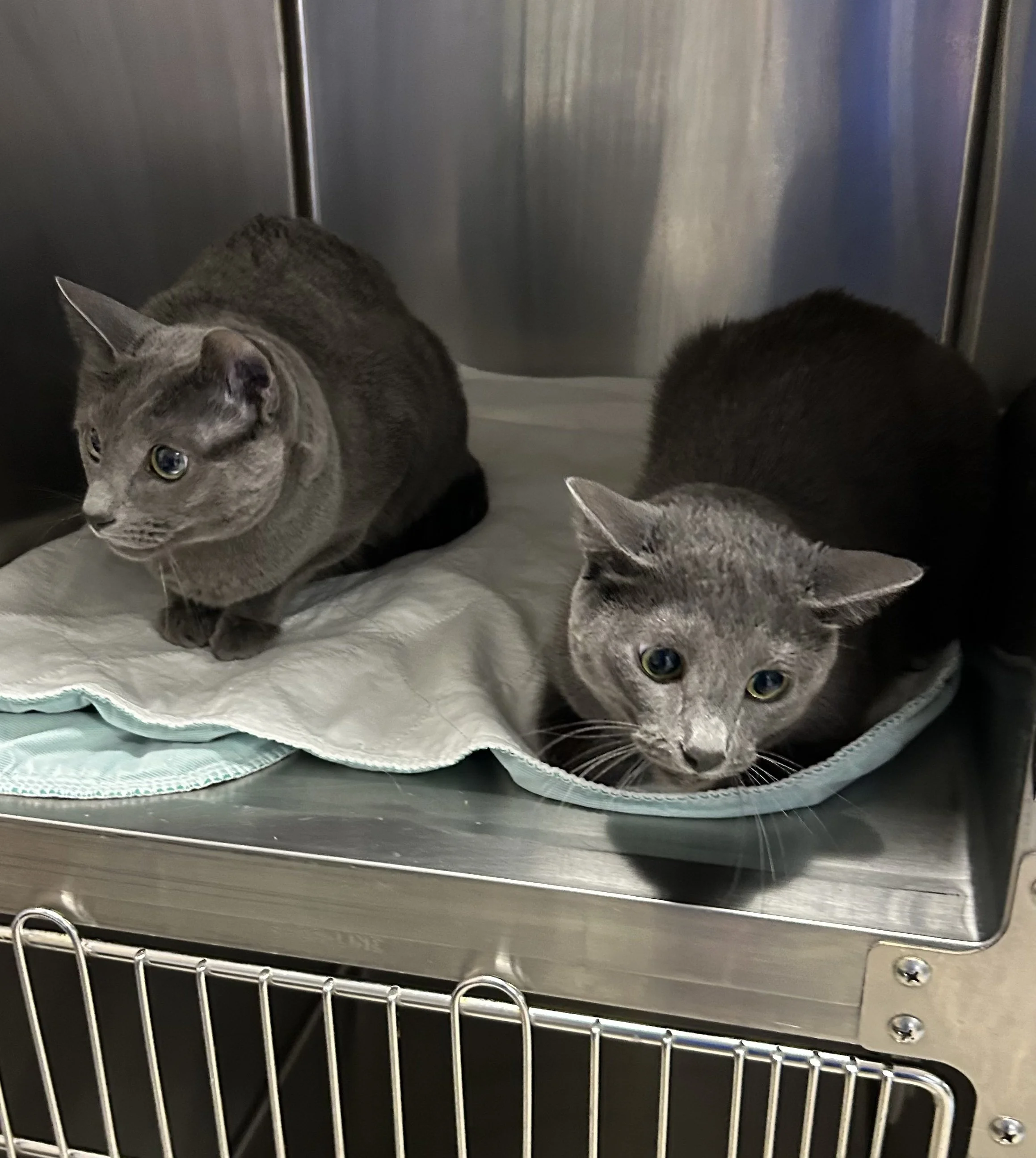 Stormy & Blue.jpg